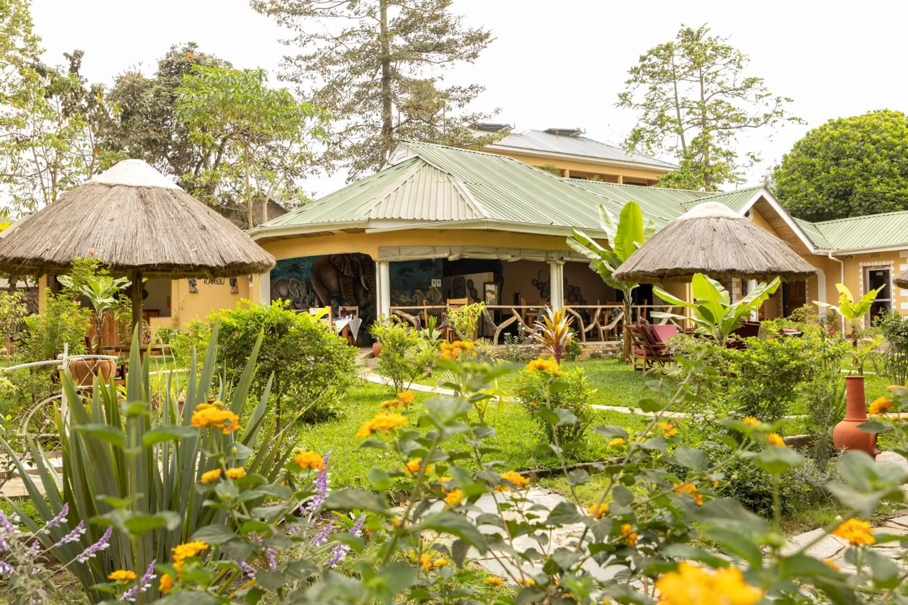 Property building in Africa Safari Arusha