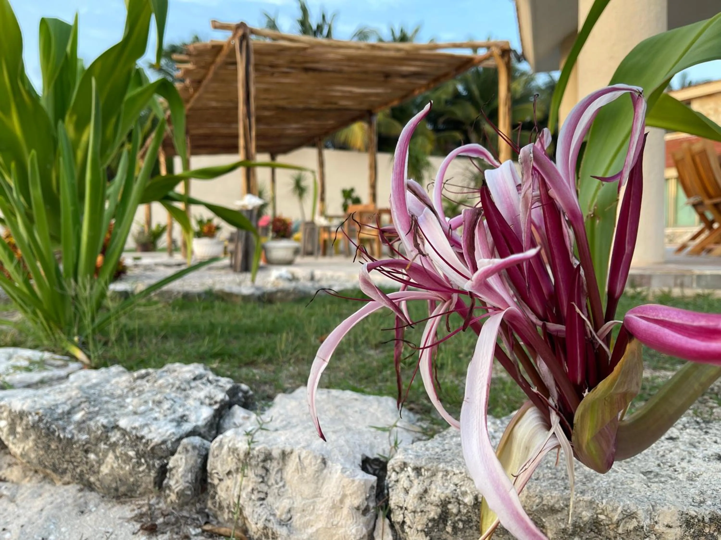 BreMar 85 Private place - Adults only