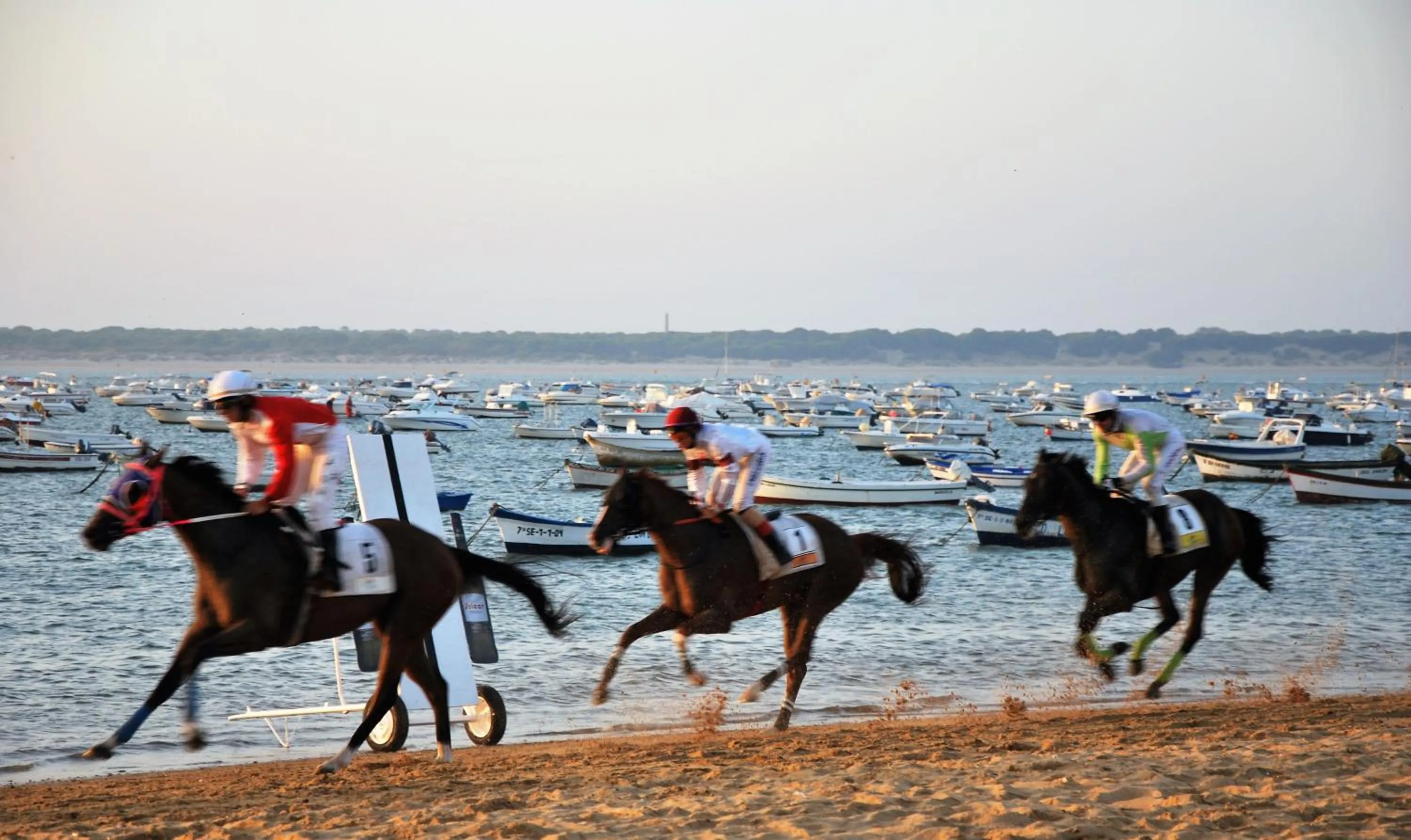 Activities in Albariza Hotel Boutique