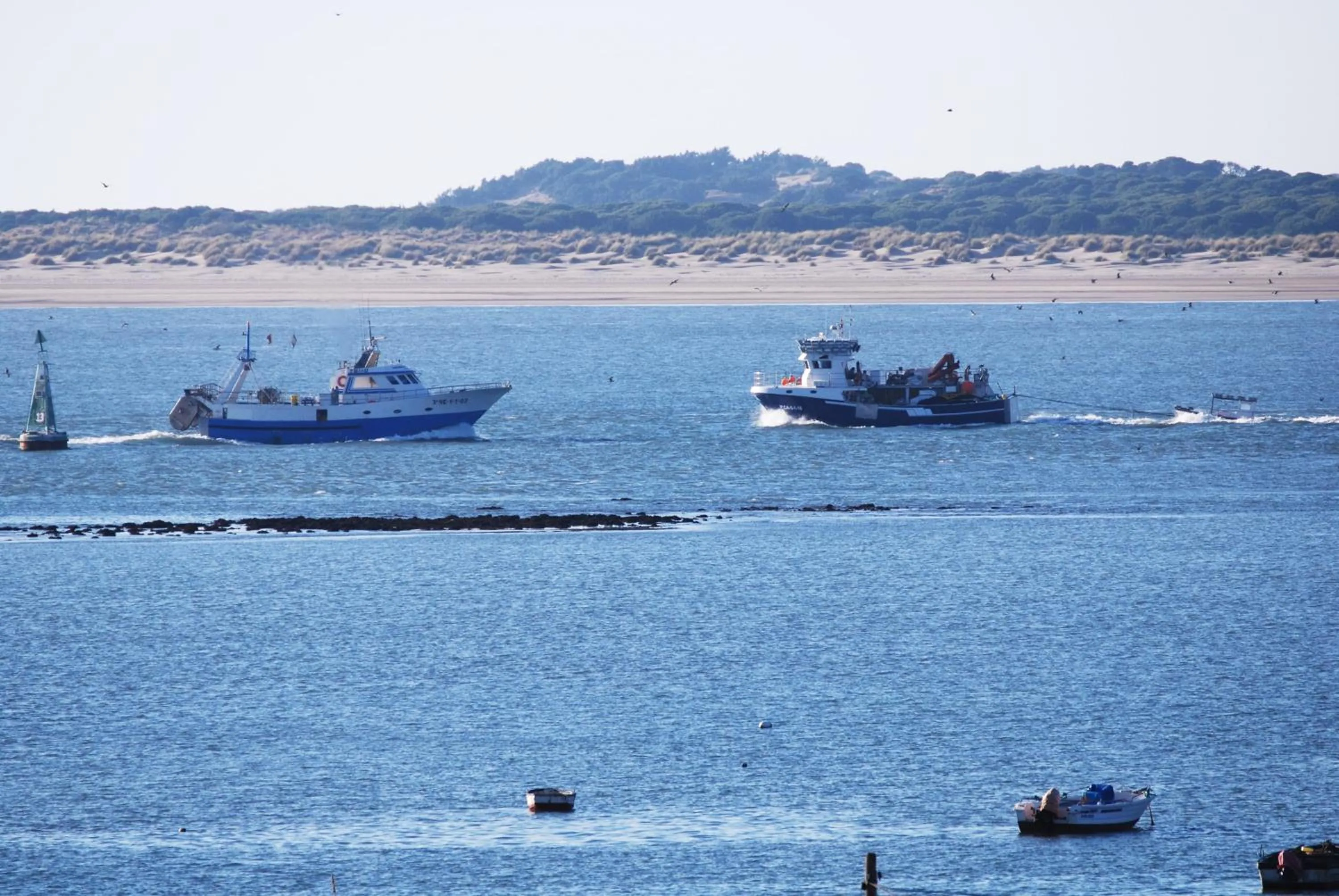 Fishing in Albariza Hotel Boutique