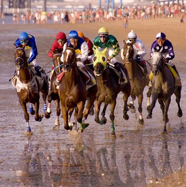 Horse-riding in Albariza Hotel Boutique