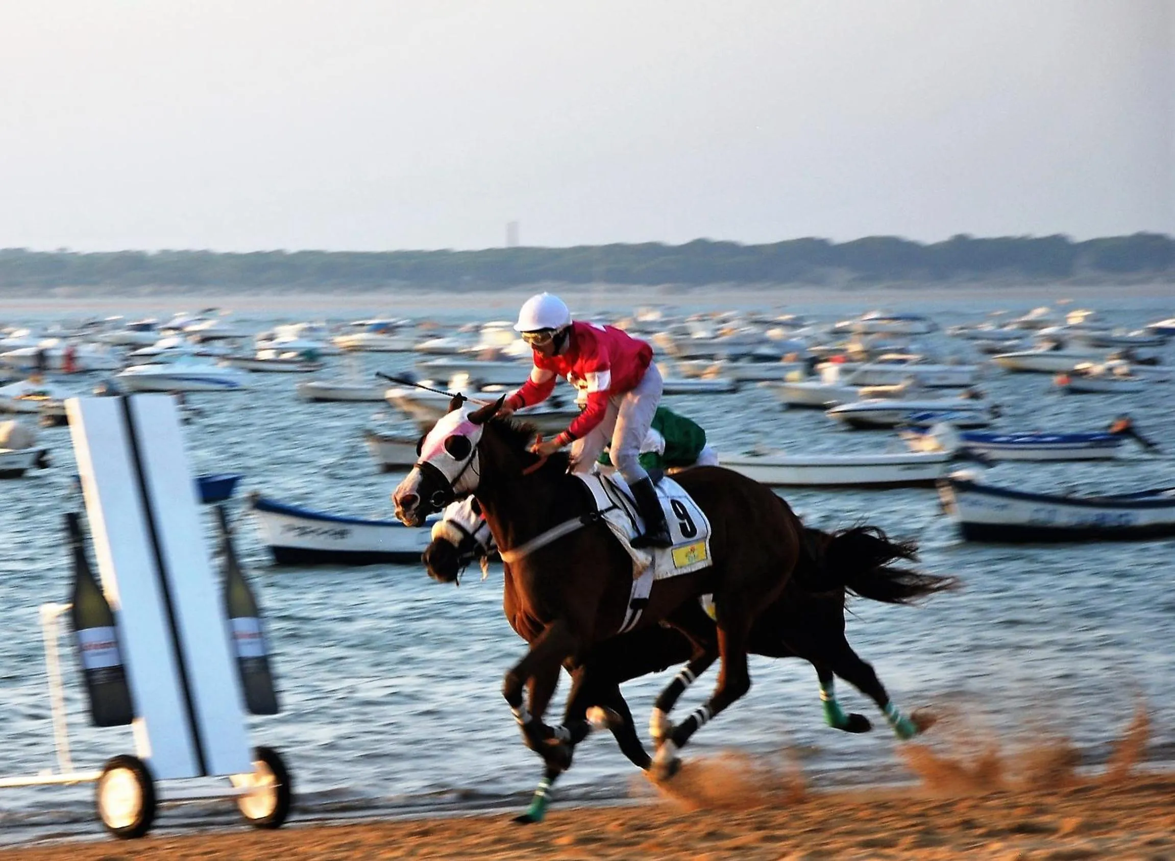 Activities in Albariza Hotel Boutique