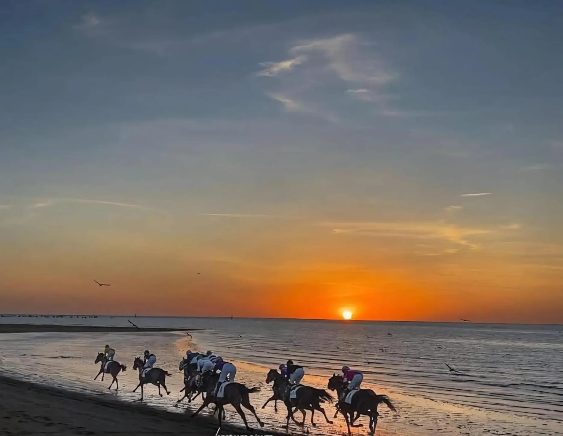 Horse-riding in Albariza Hotel Boutique