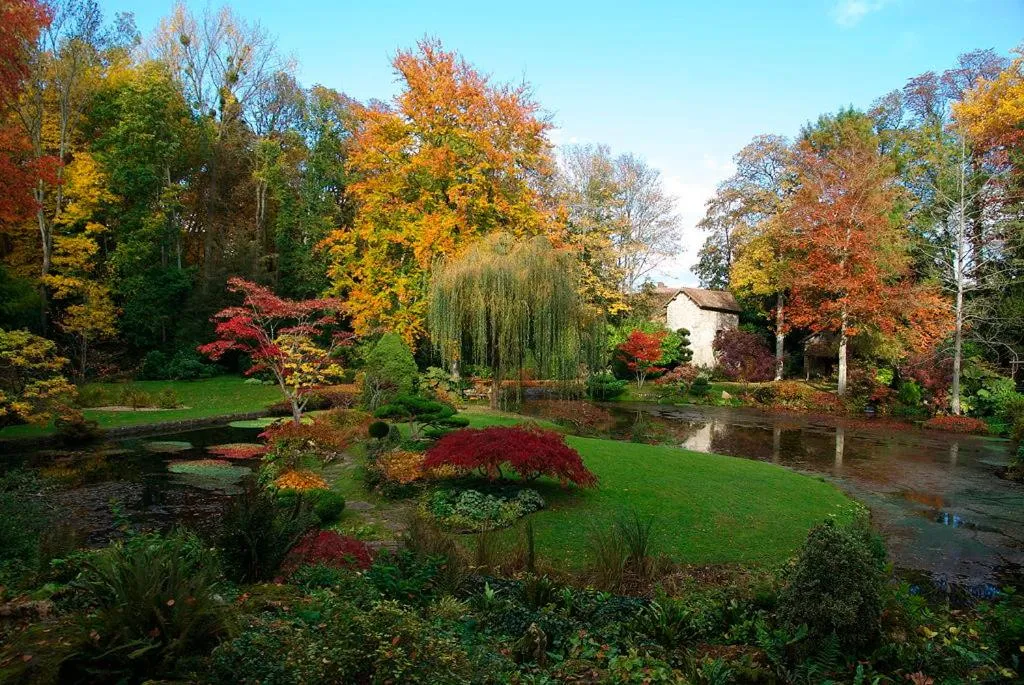 Neighbourhood in La Verriere du Baron Greau