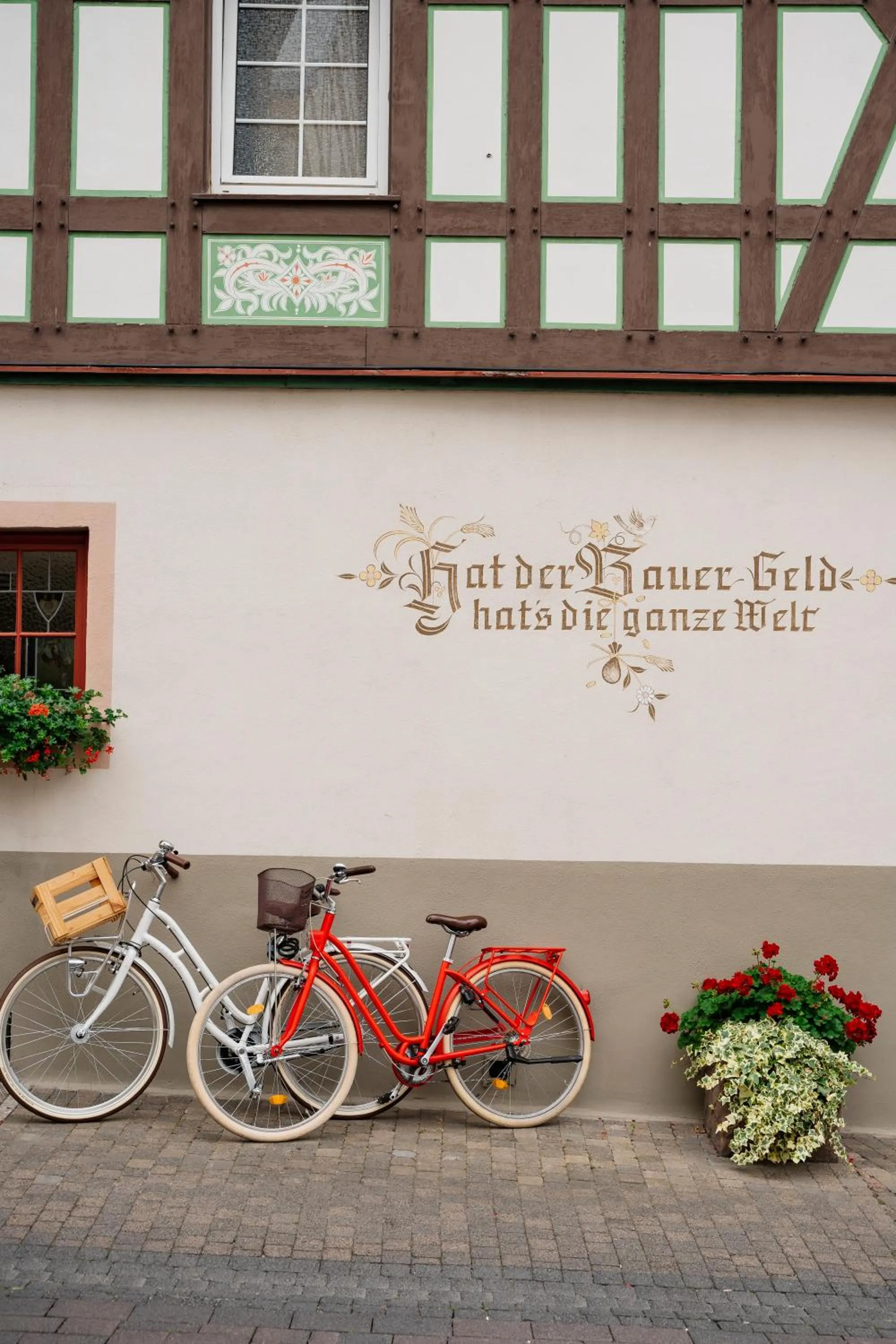 Cycling in AKZENT Hotel Berg's Alte Bauernschänke- Wellness und Wein