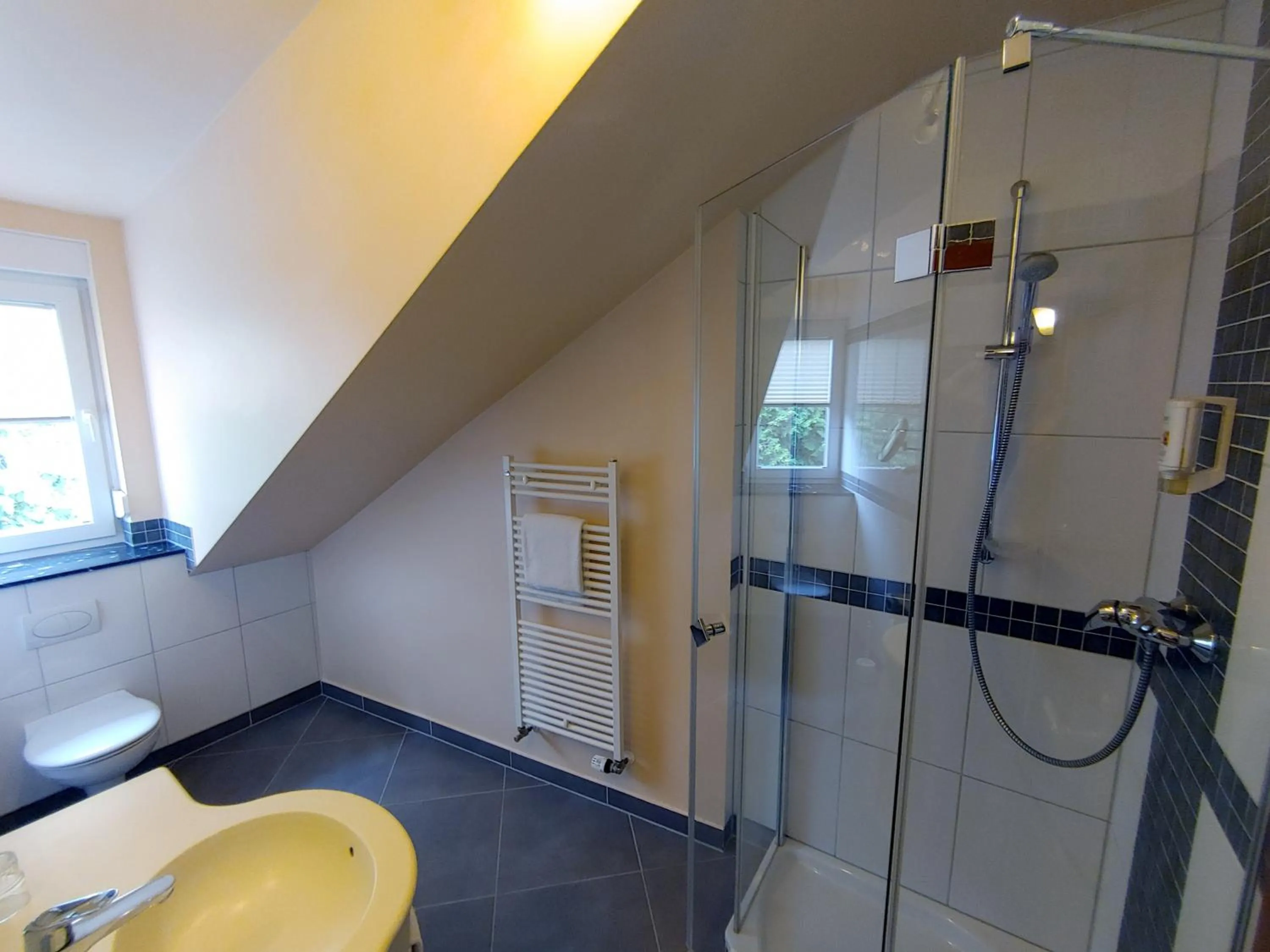 Bathroom in AKZENT Hotel Berg's Alte Bauernschänke- Wellness und Wein