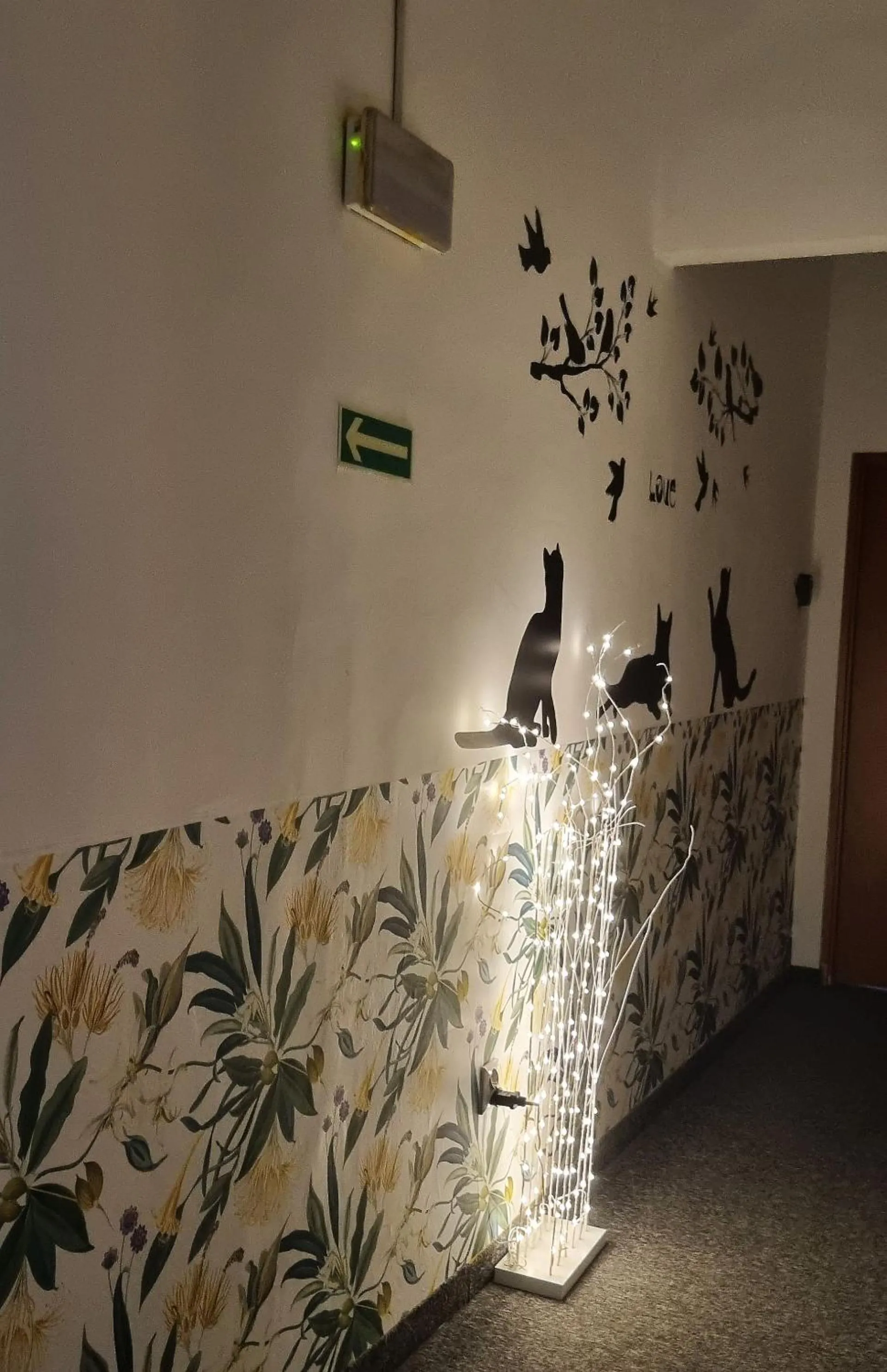 Property building in Green Cat Rooms