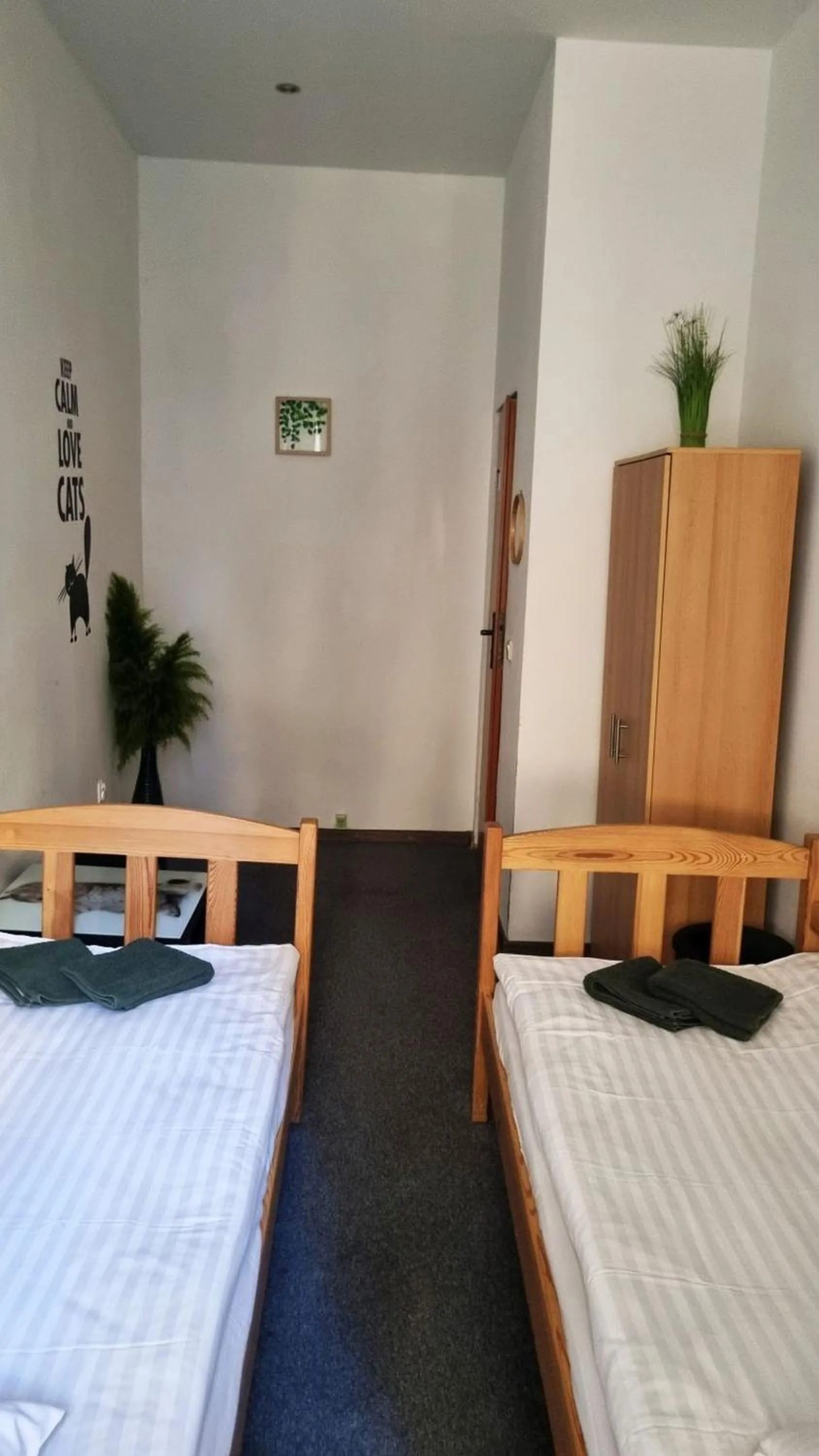 Bed in Green Cat Rooms