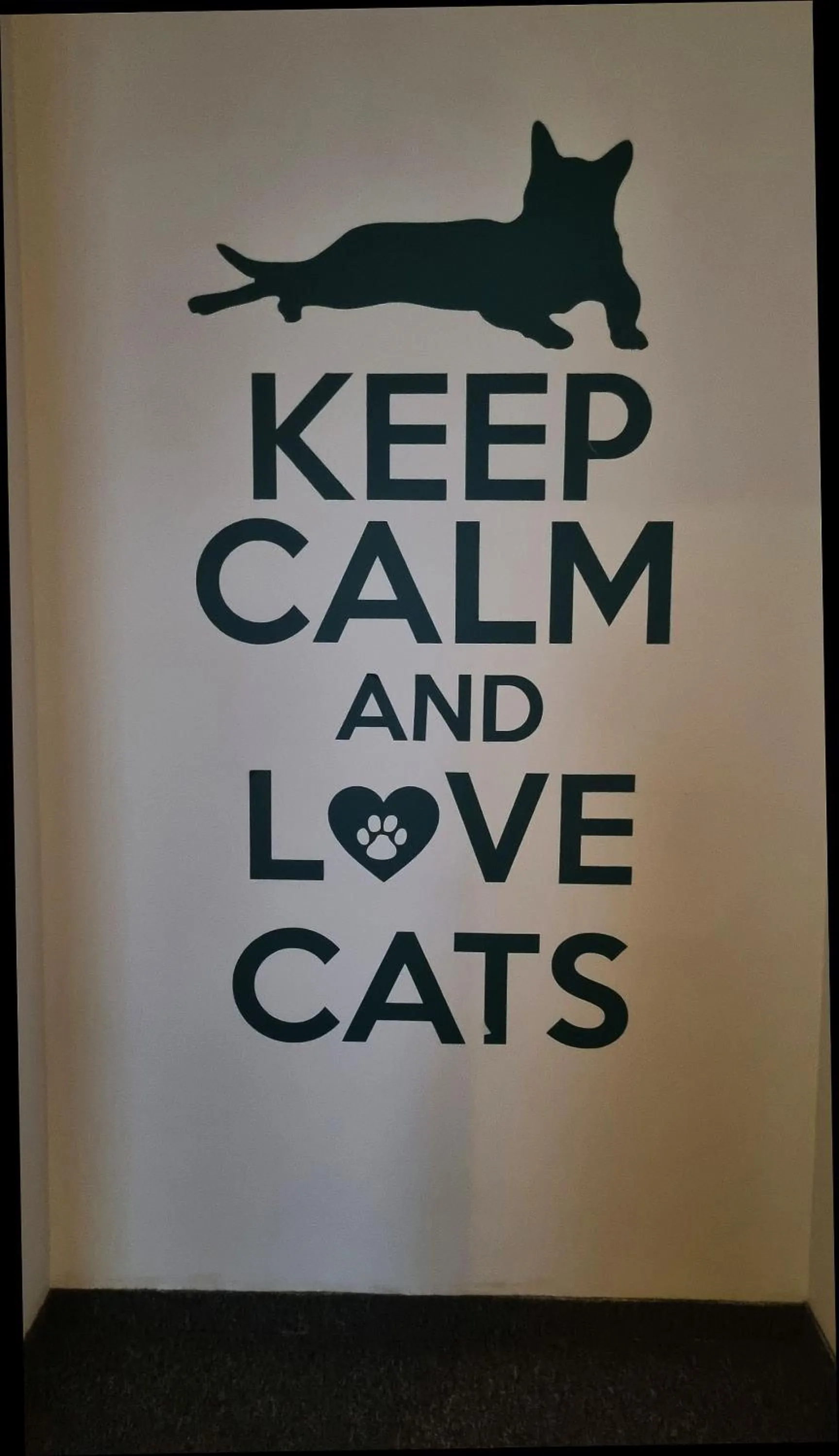 Property building in Green Cat Rooms