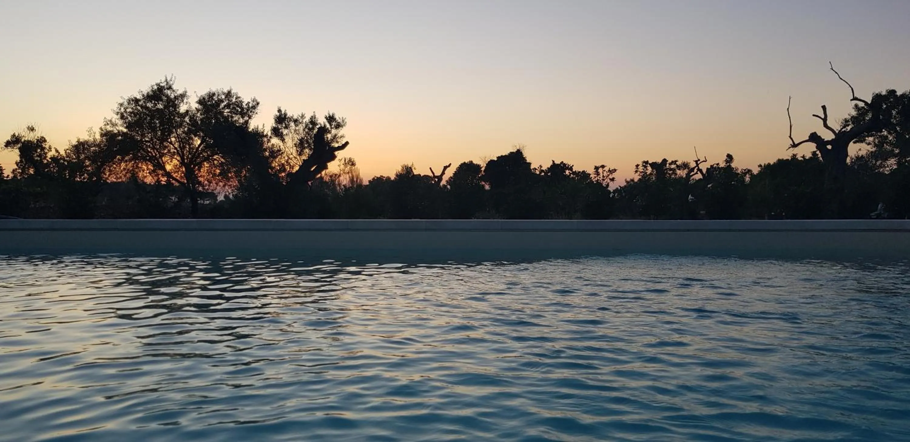 Swimming pool in Tenuta La Milogna