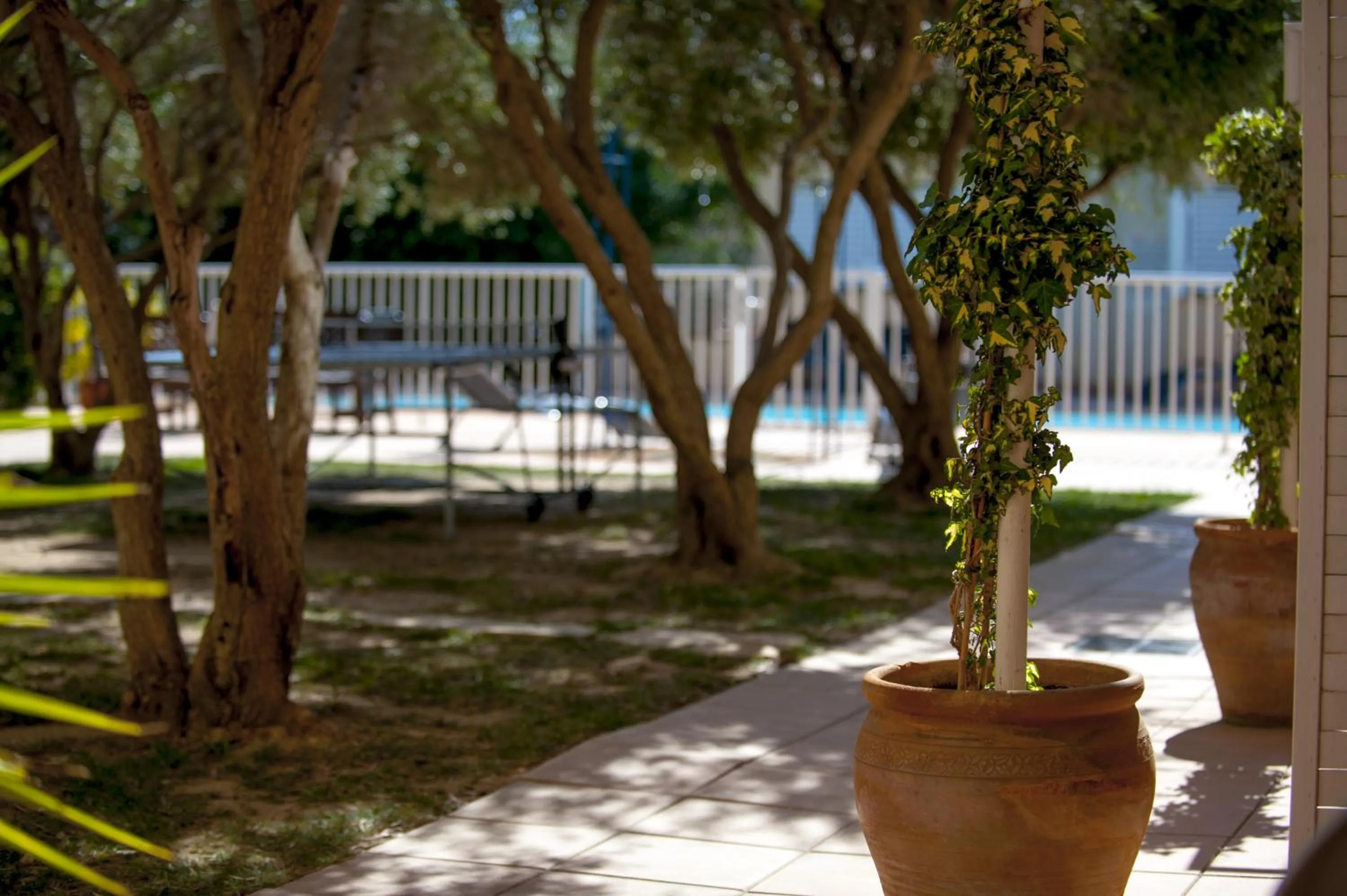 Garden in Hôtel Le Leukos