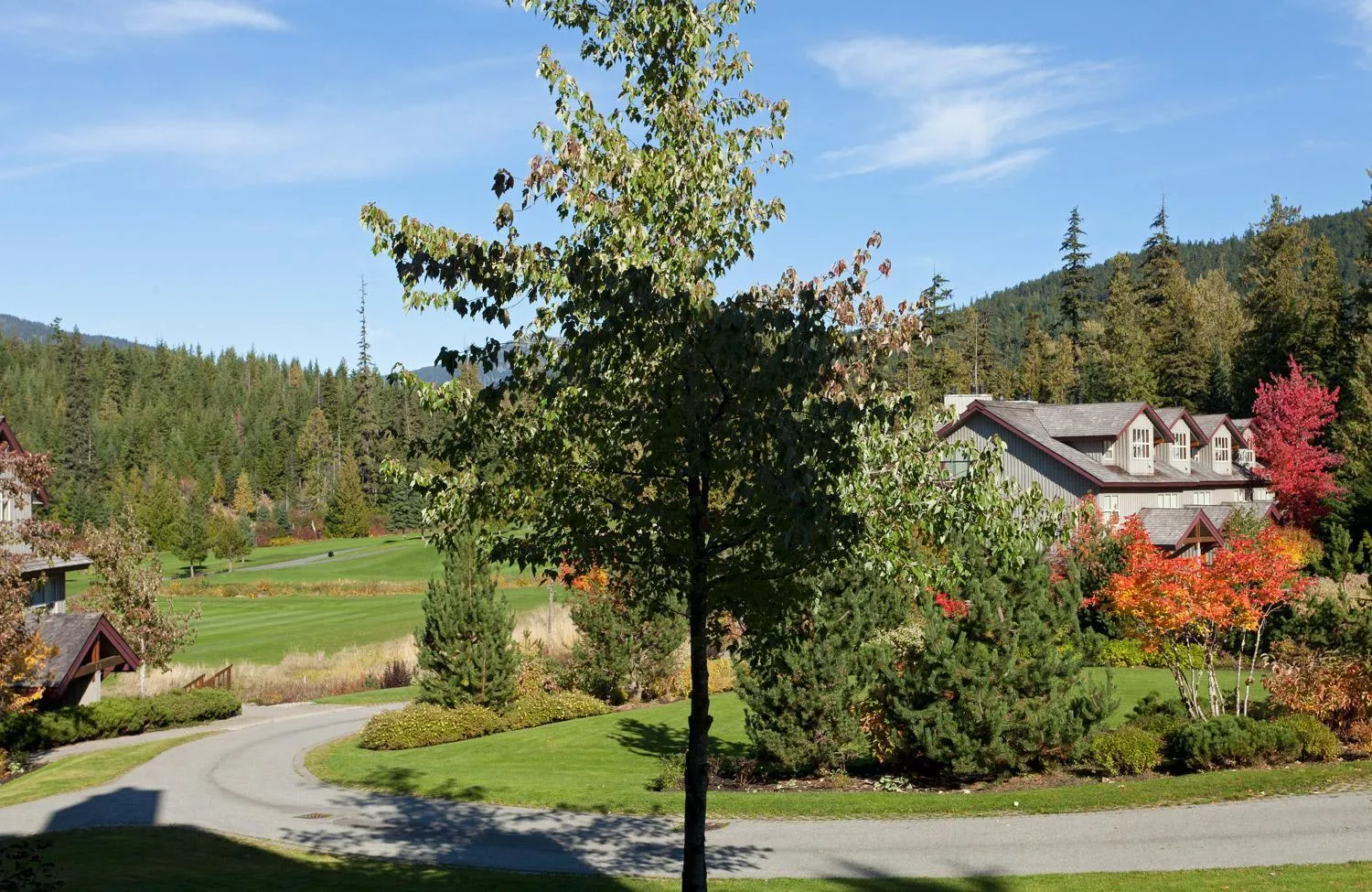 Garden view in Blackcomb Greens by Whistler Premier