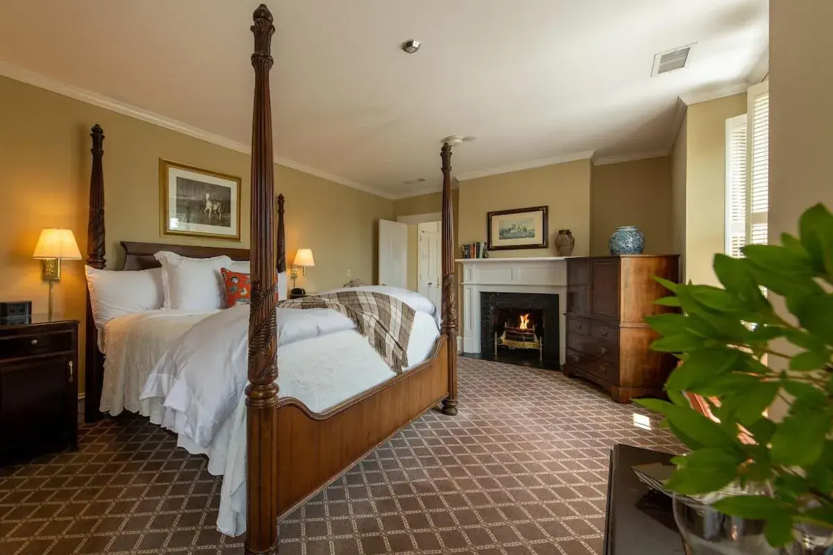 King Studio with Sofa Bed in The Willcox King Studio with Sofa Bed in The Willcox