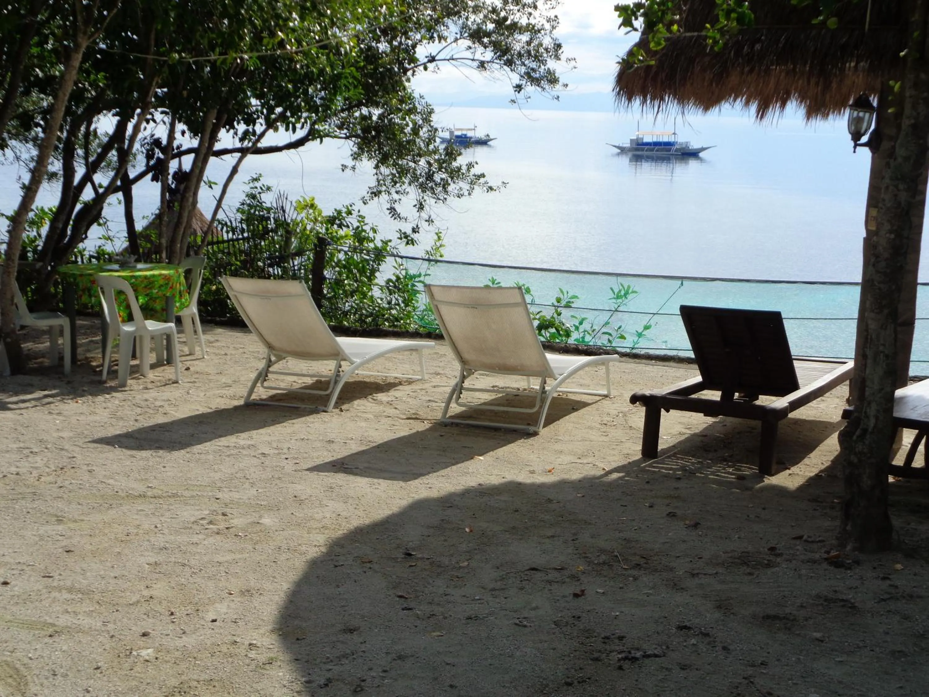 On site in Sea Turtle House Moalboal