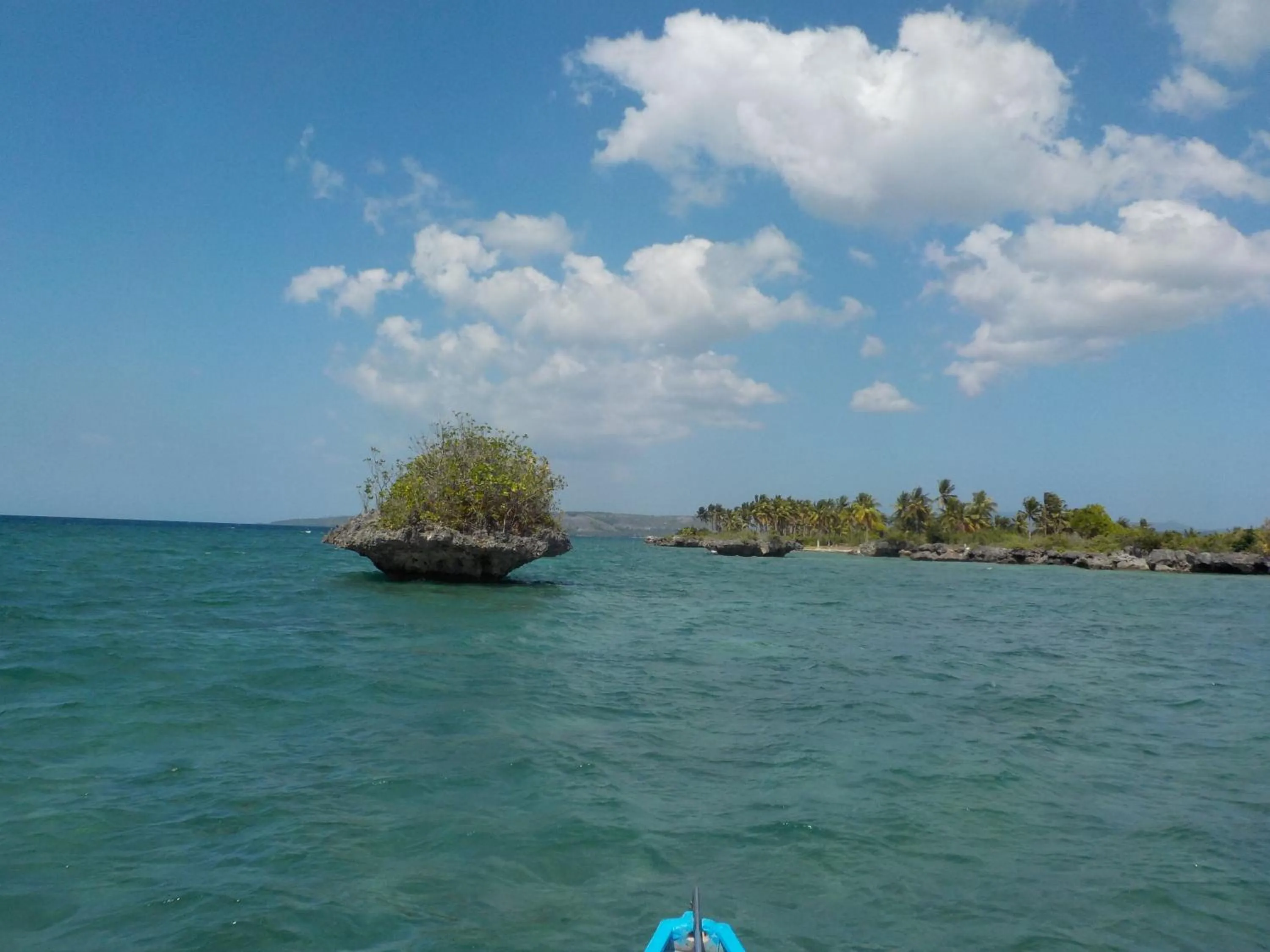 Activities in Sea Turtle House Moalboal