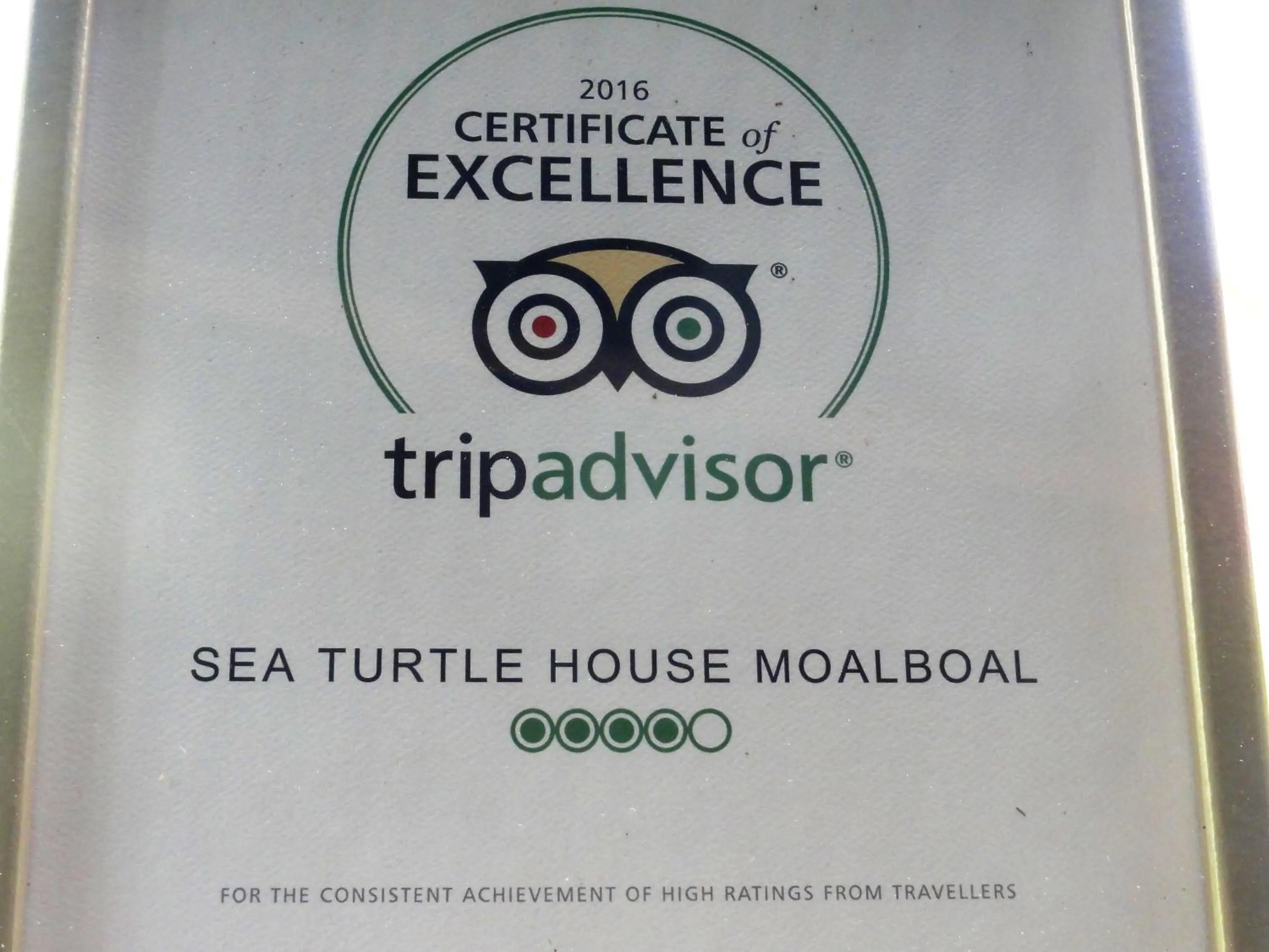 Other in Sea Turtle House Moalboal