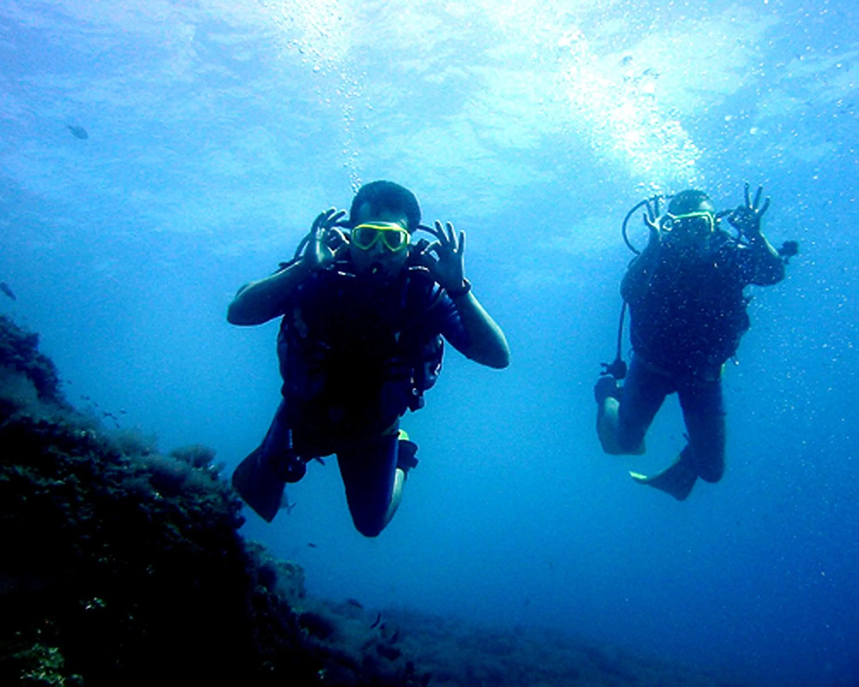 Diving in Sea Turtle House Moalboal