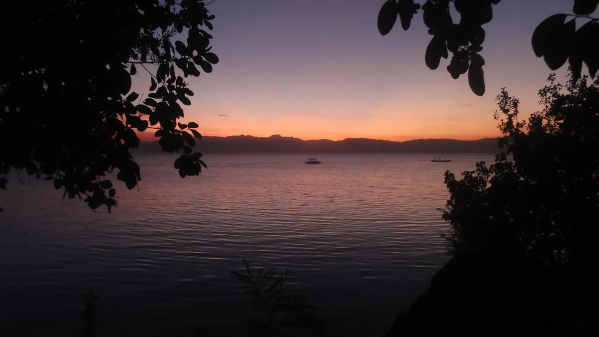 Natural landscape in Sea Turtle House Moalboal