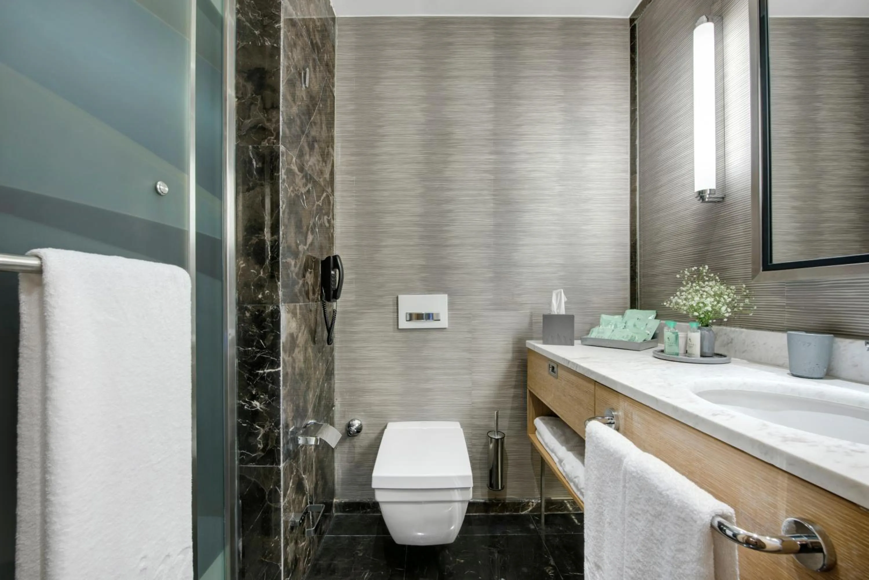 Toilet in Regnum Carya