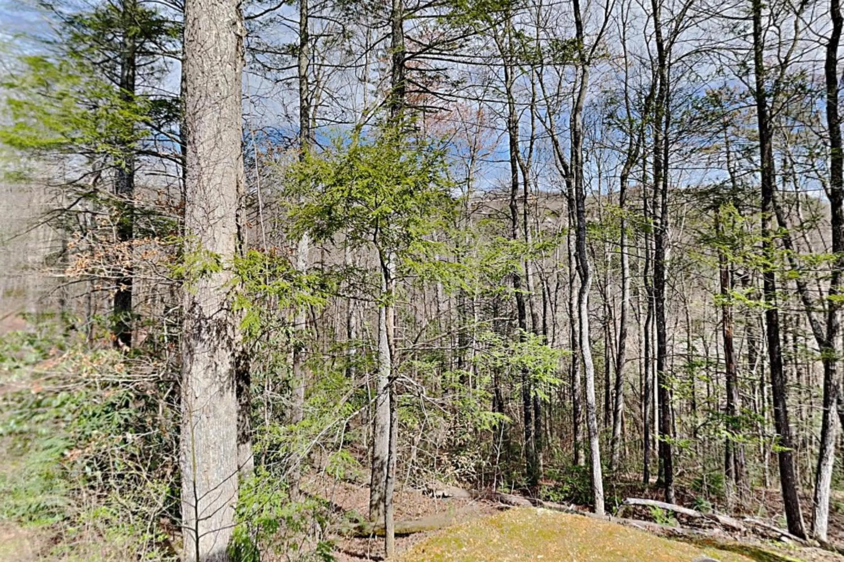 Property building in Poolin Around