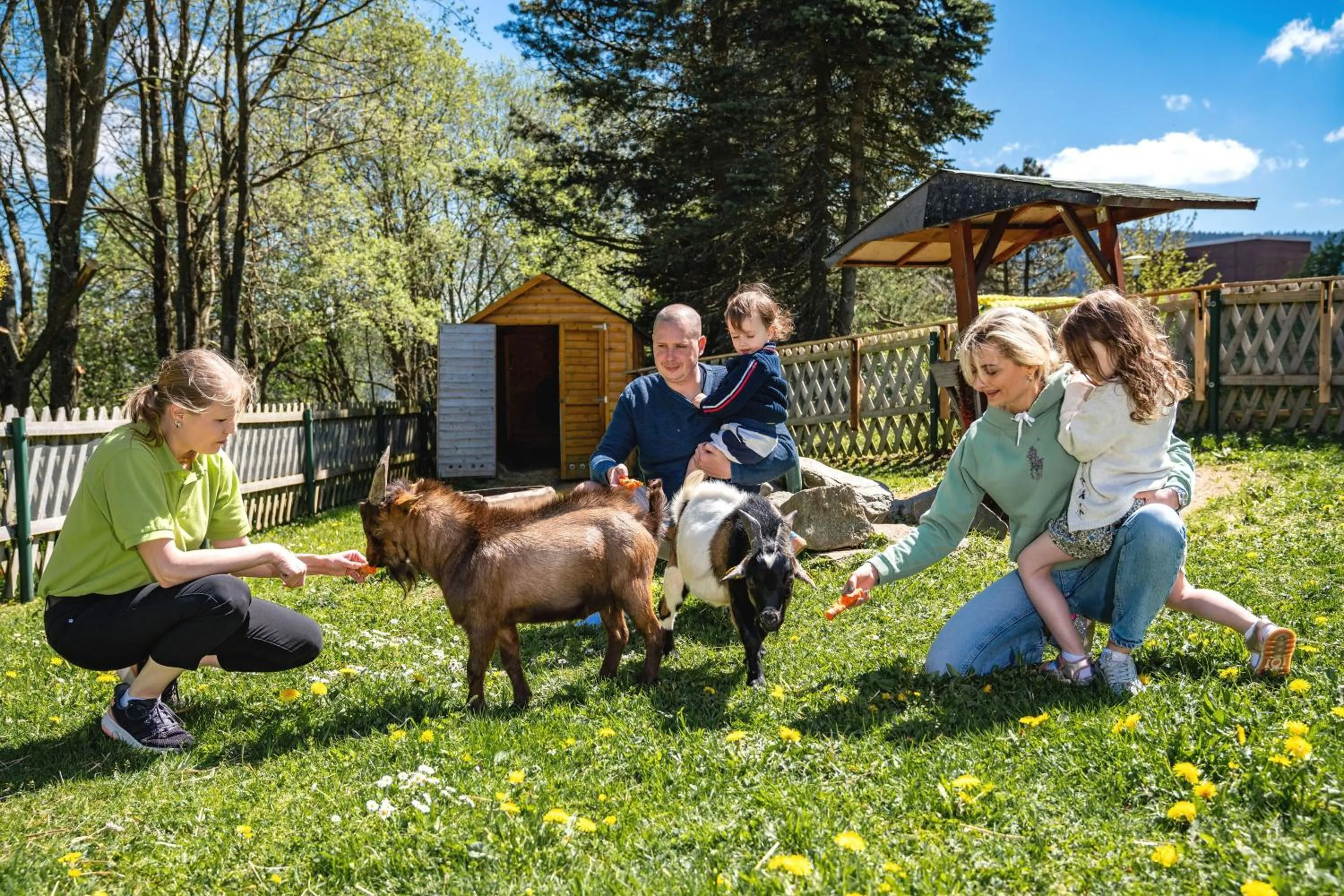 Day in AHORN Hotel Am Fichtelberg