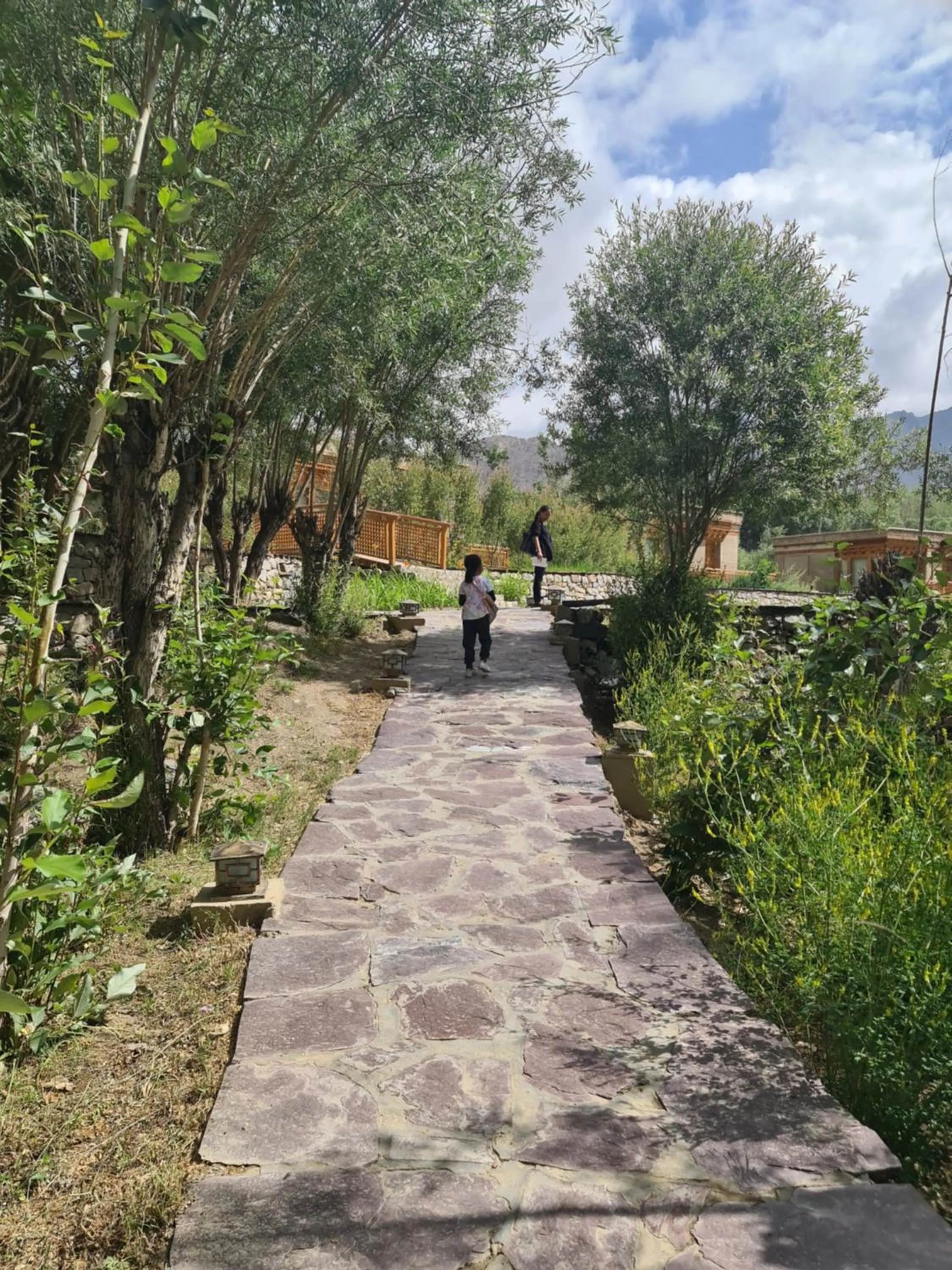 Garden in Ladakh Eco Resort