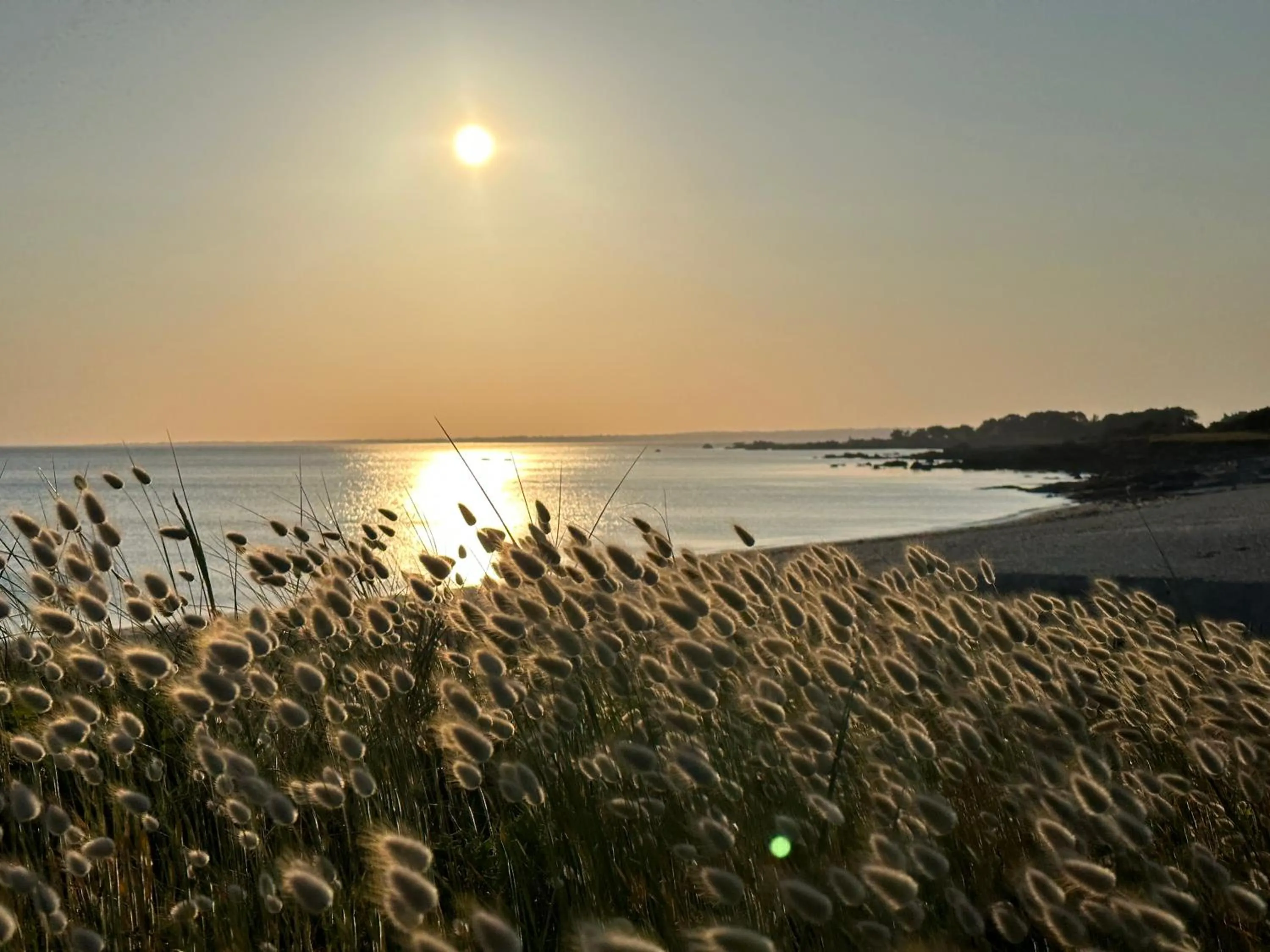 Les Suites de Bougainville