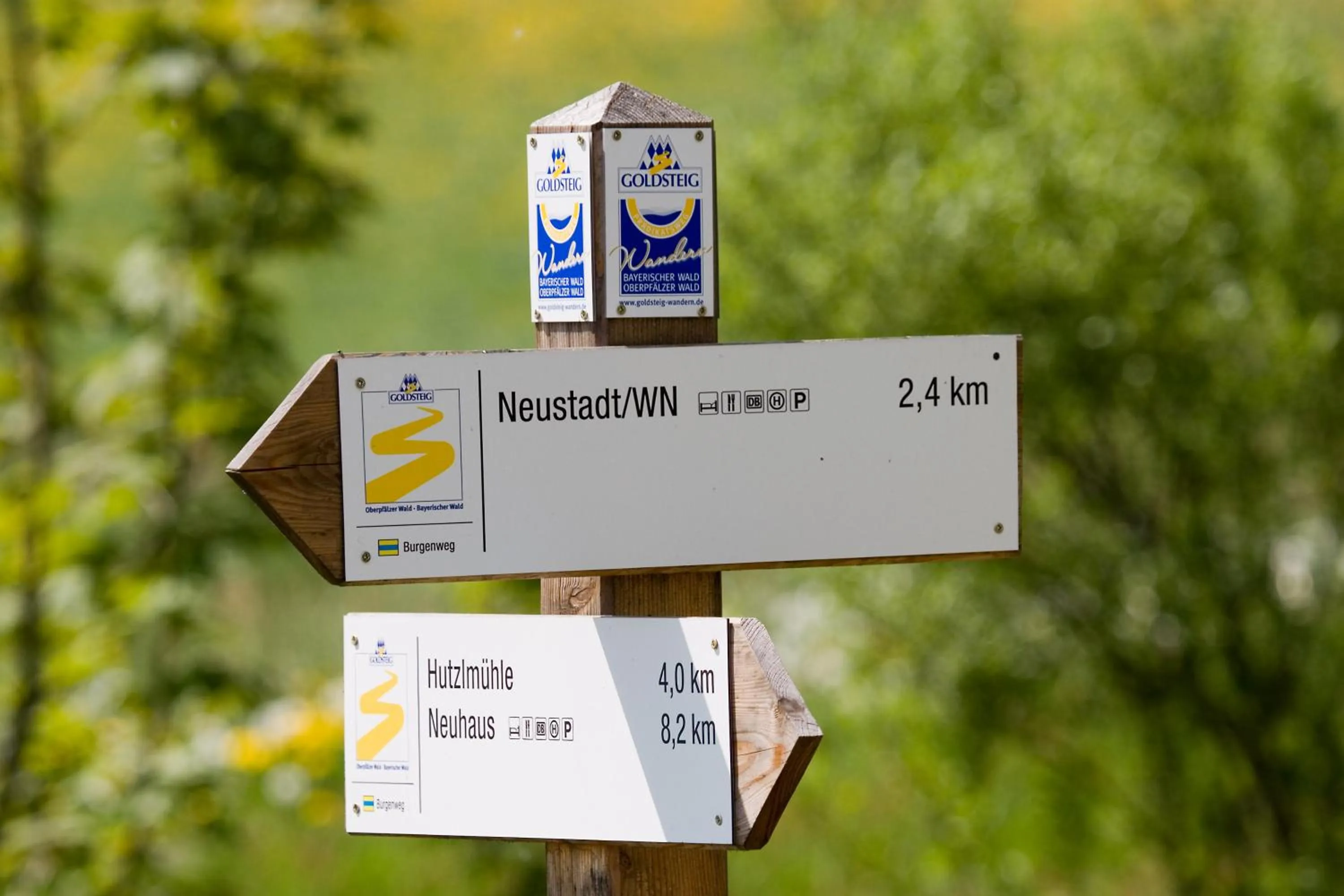 Natural landscape in Hotel Grader