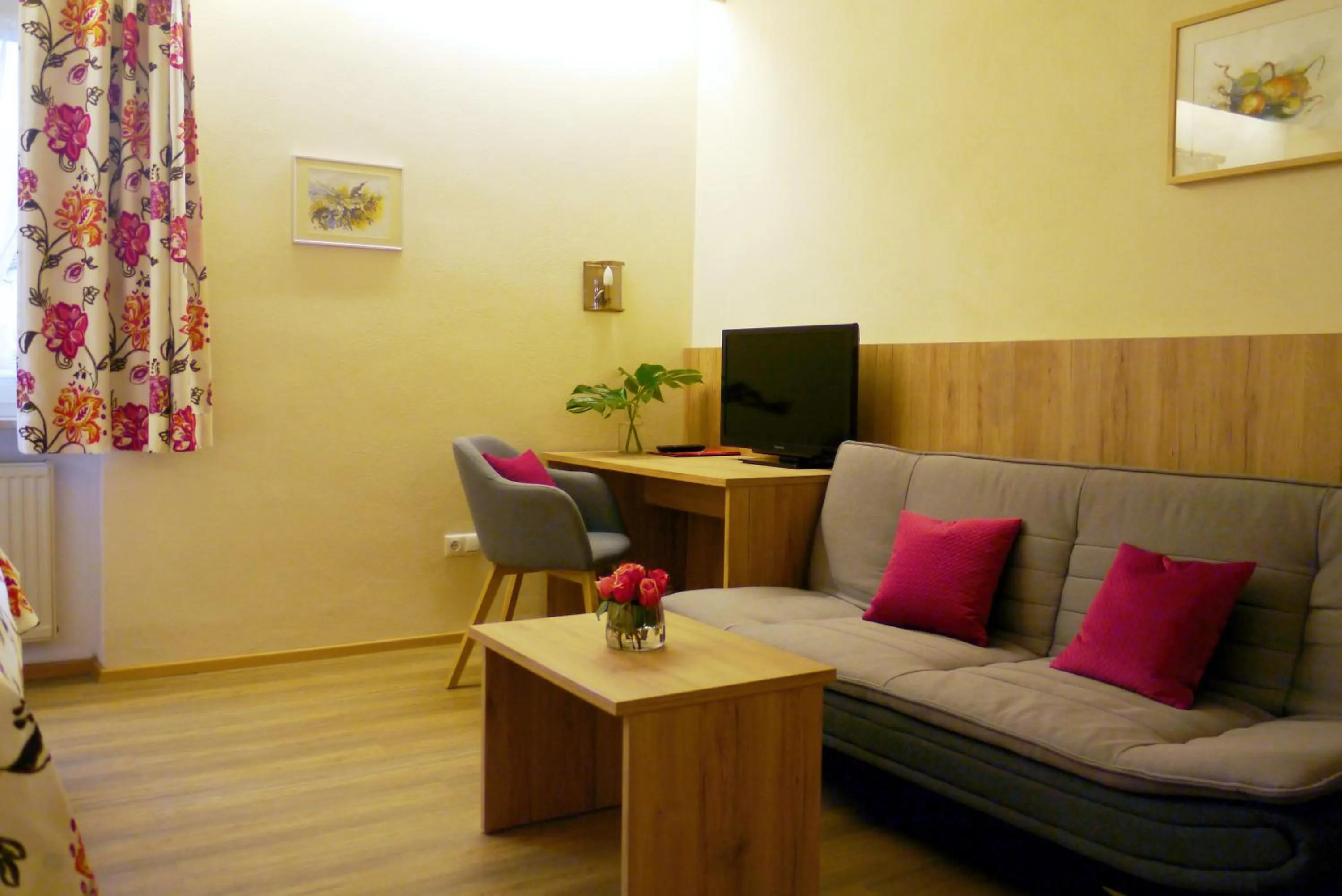 TV and multimedia in Hotel Grader