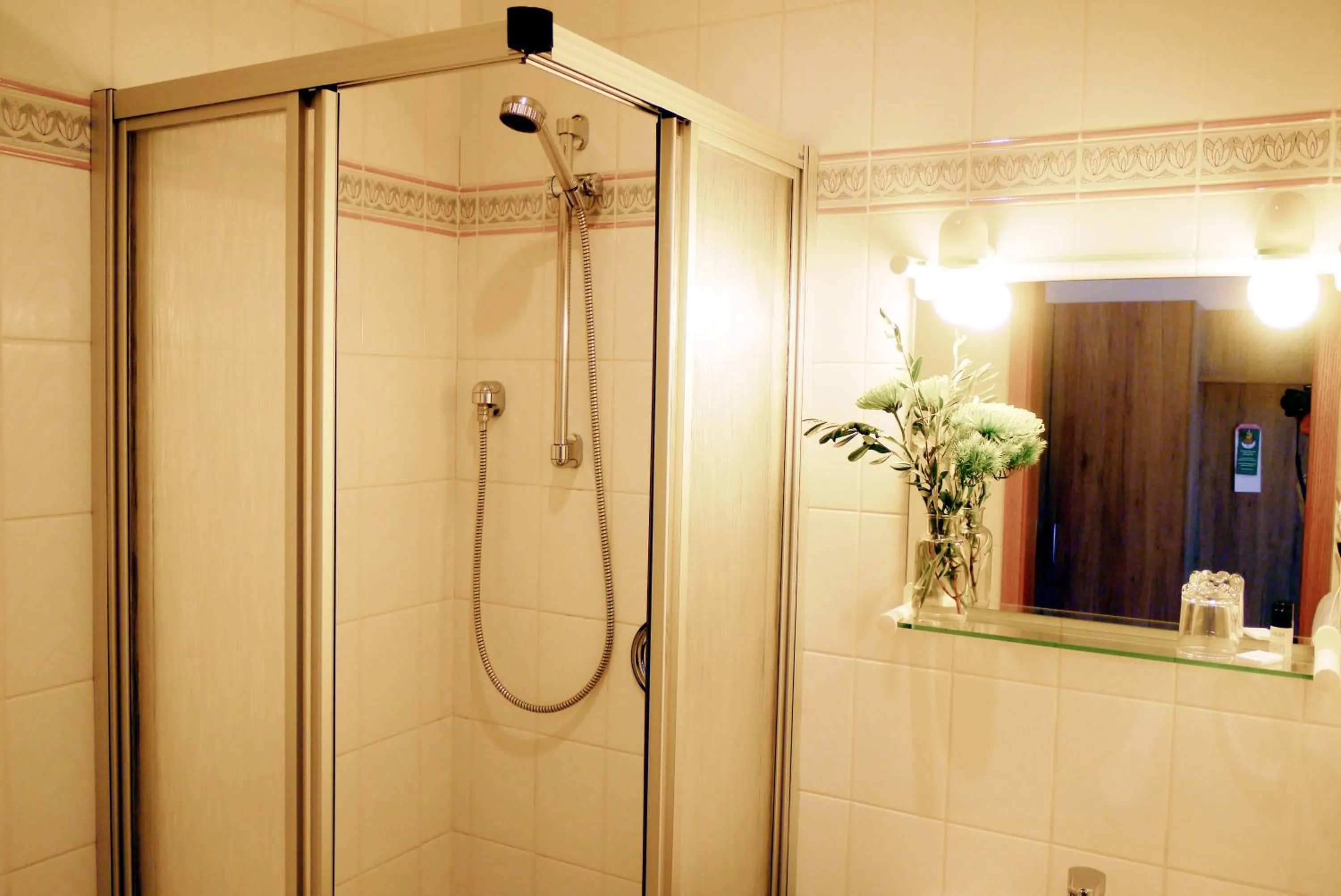 Shower in Hotel Grader