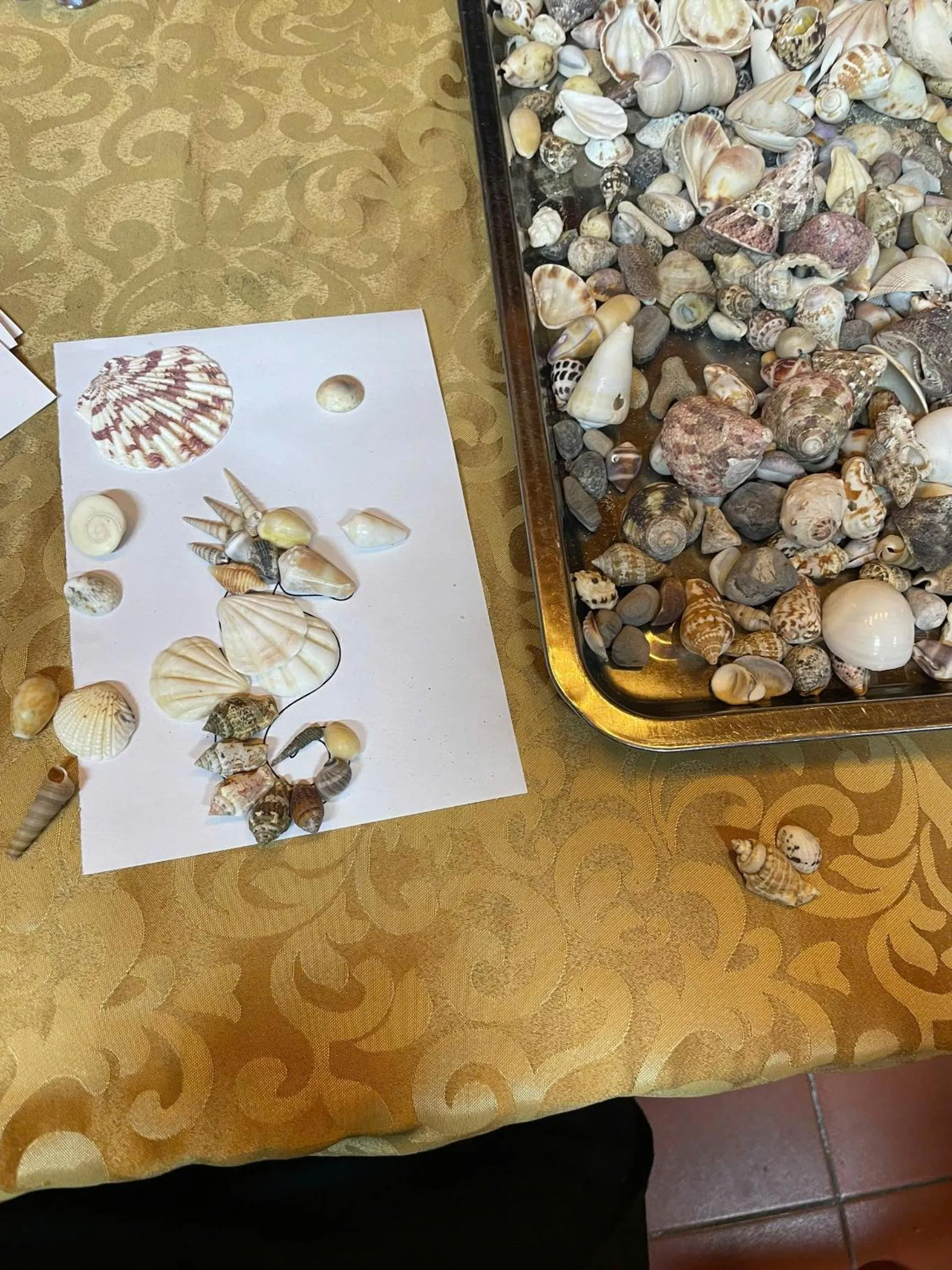 Activities in Lan Homestay