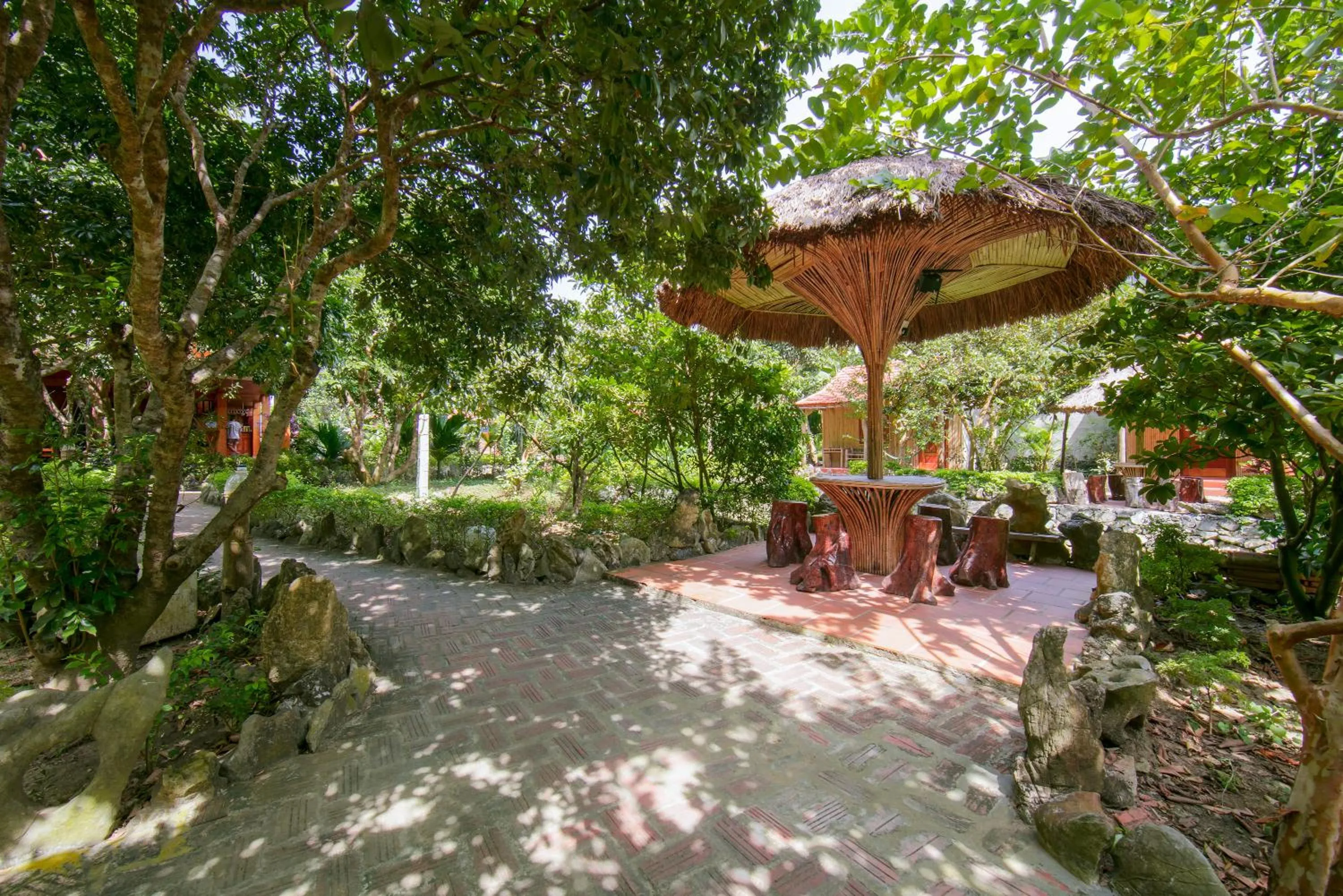 Garden in Lan Homestay