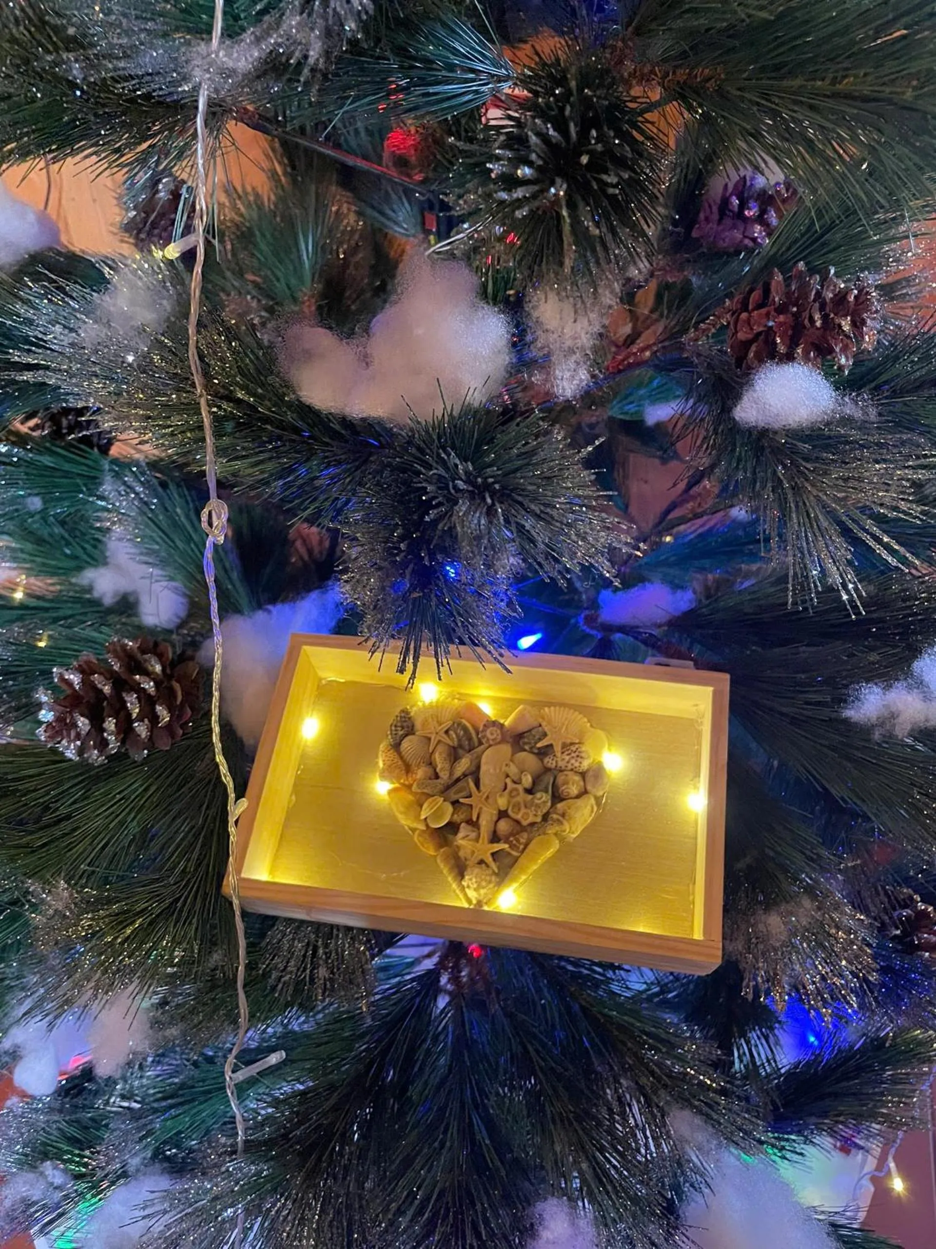 Activities in Lan Homestay