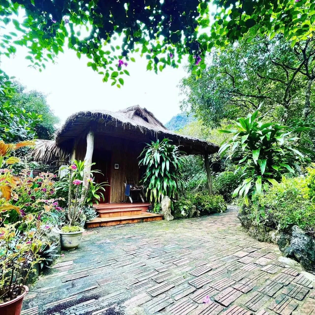 Property building in Lan Homestay