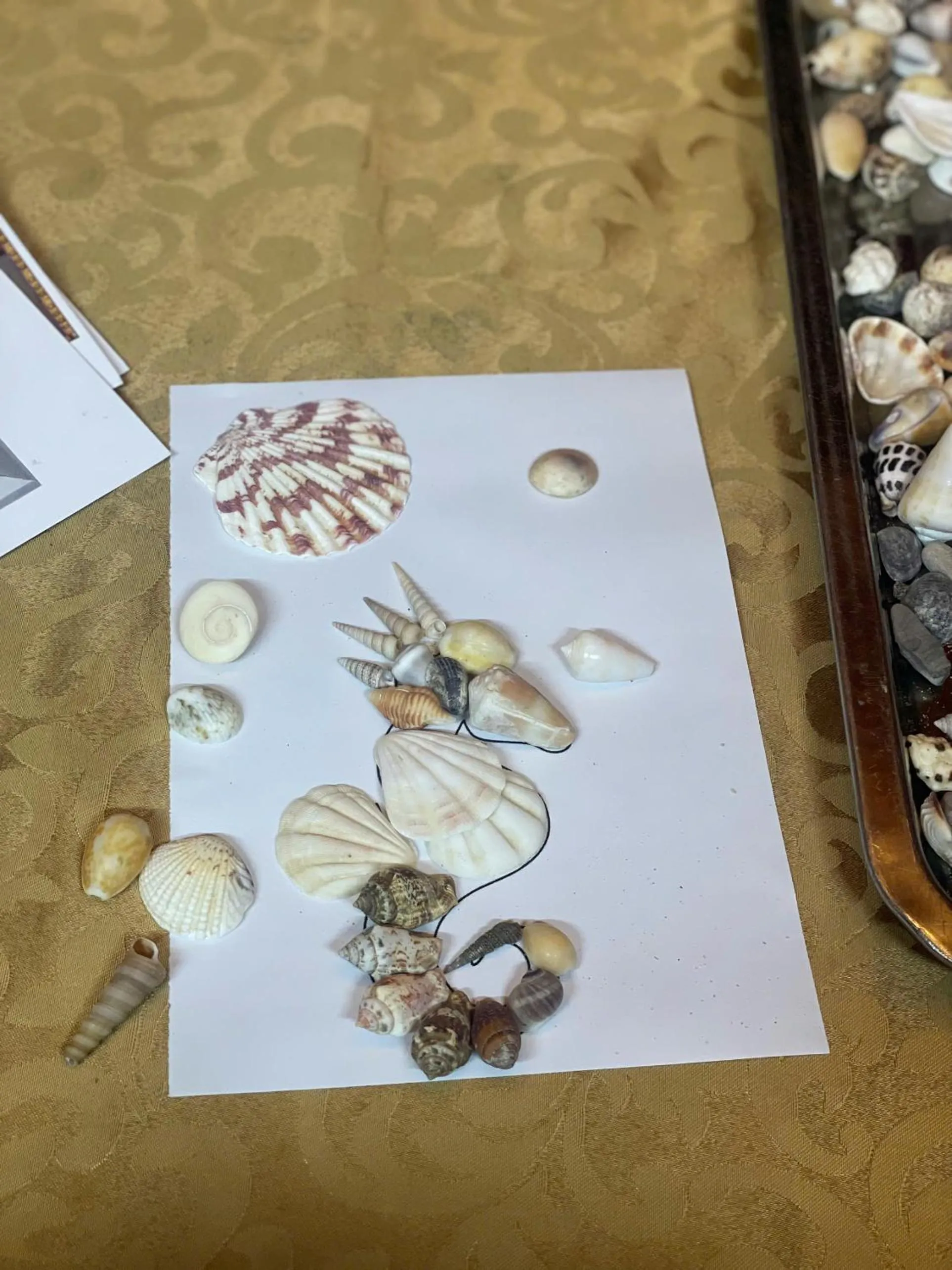 Activities in Lan Homestay