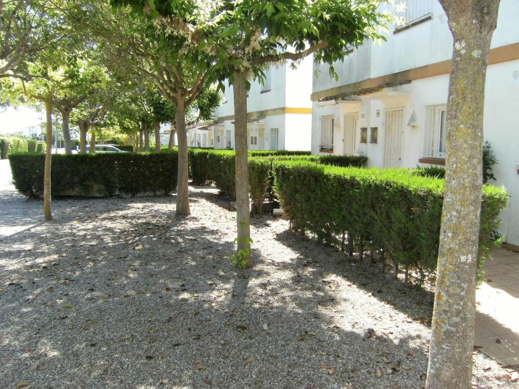 Off site in VALL PETITA 131