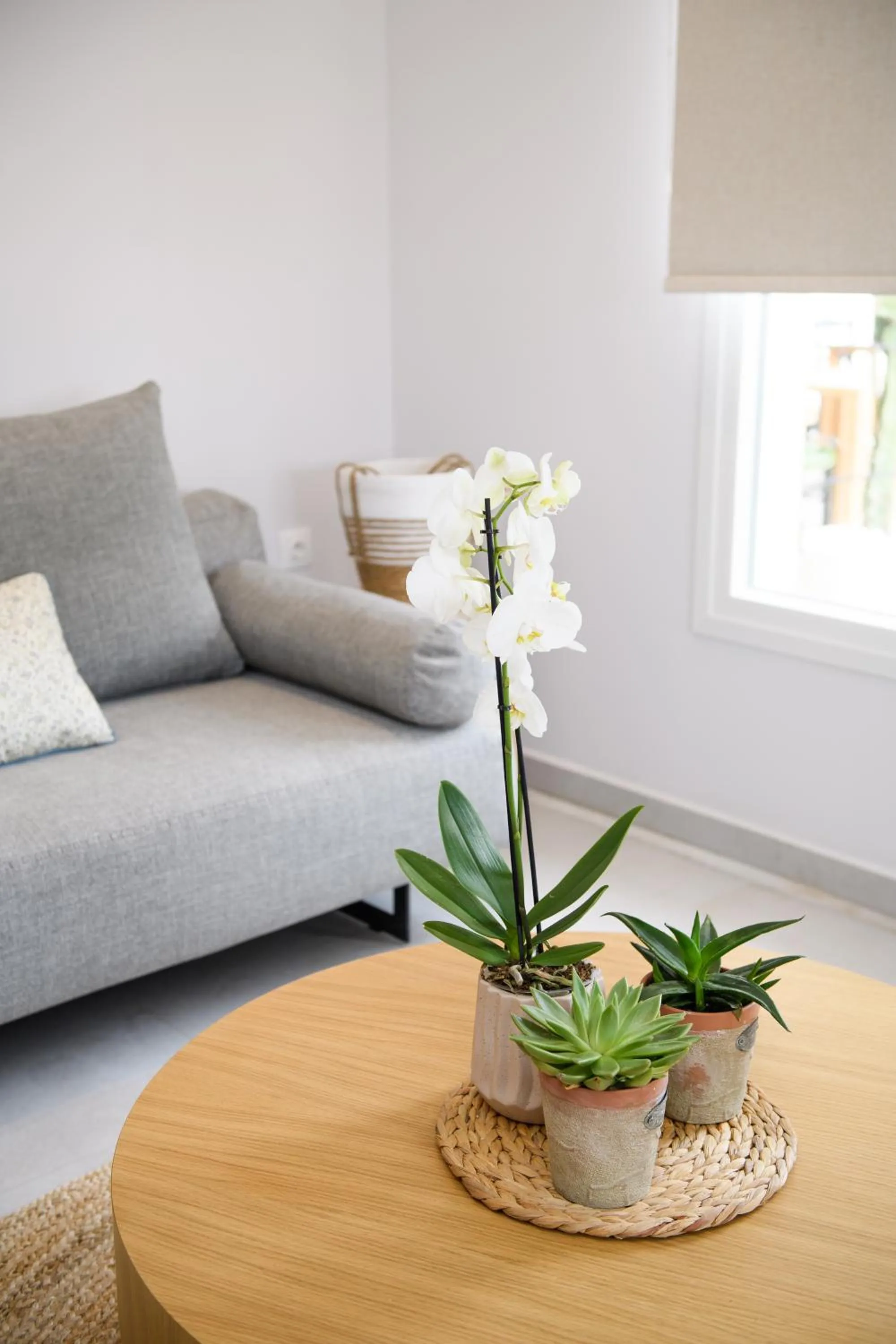 Living room in KORINA APART HOTEL KAVOS