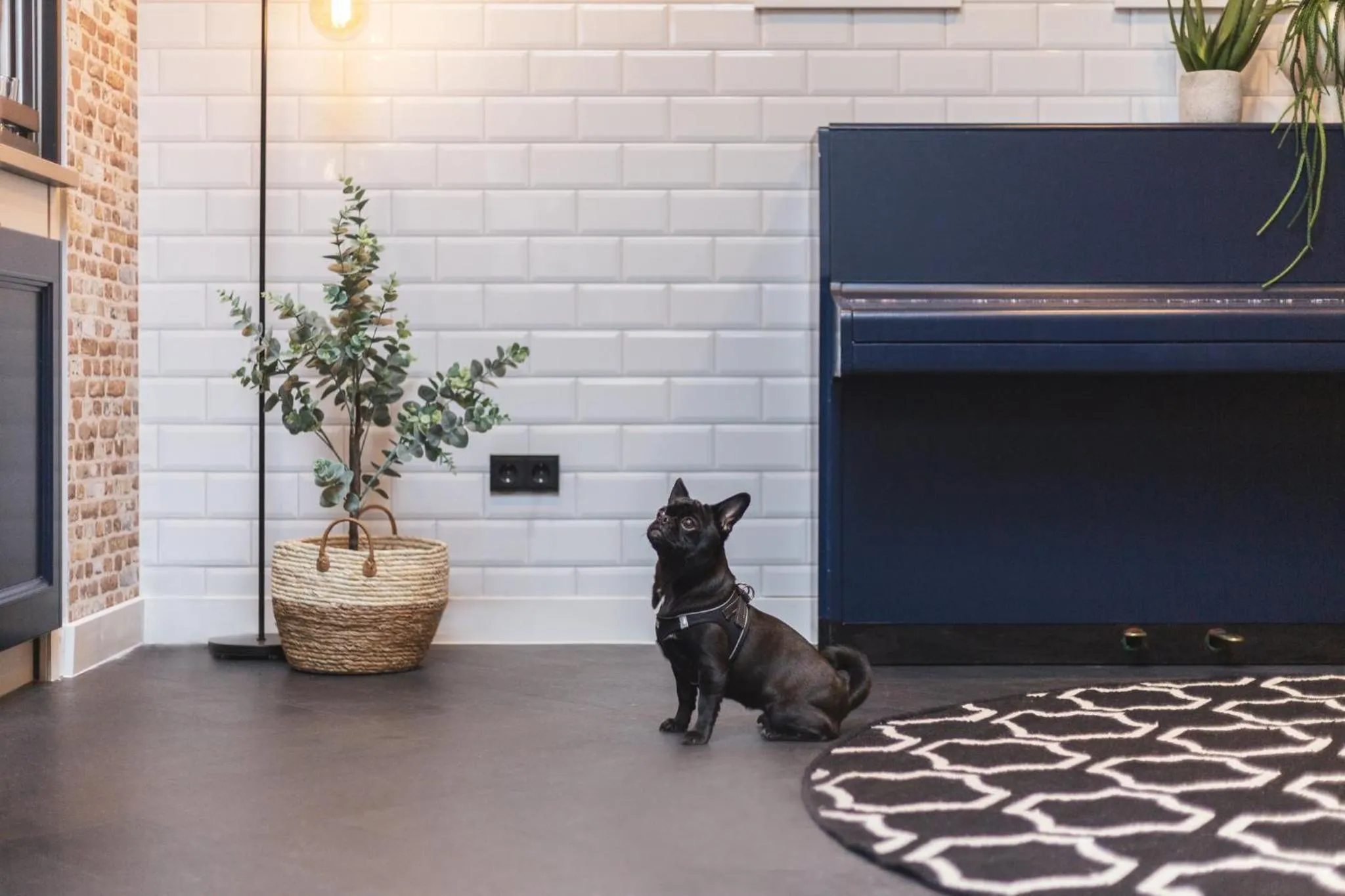 Decorative detail in Garner Hotel Essen - Messe by IHG