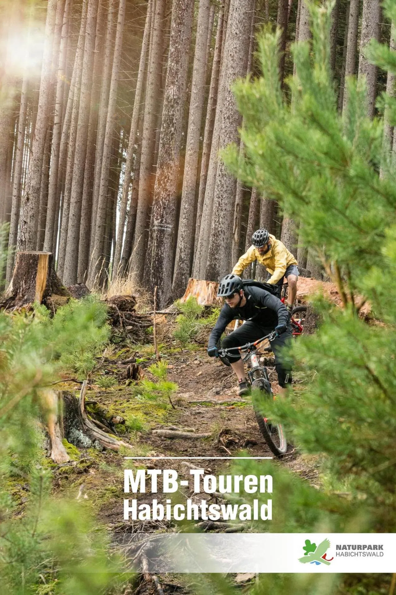 Hiking in Landhotel Sonneneck - Breuna im Naturpark