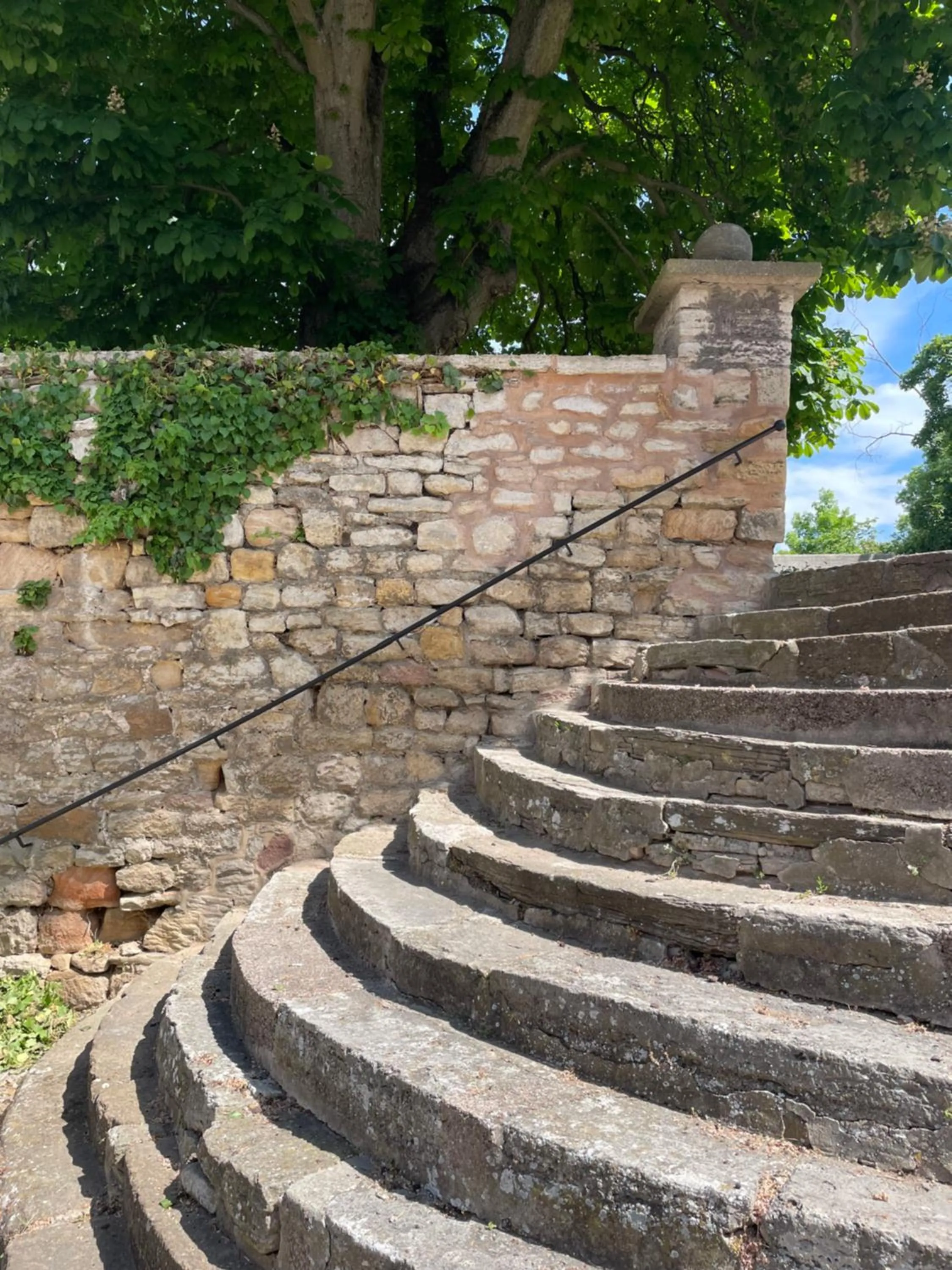 Garden in Schloss Beichlingen