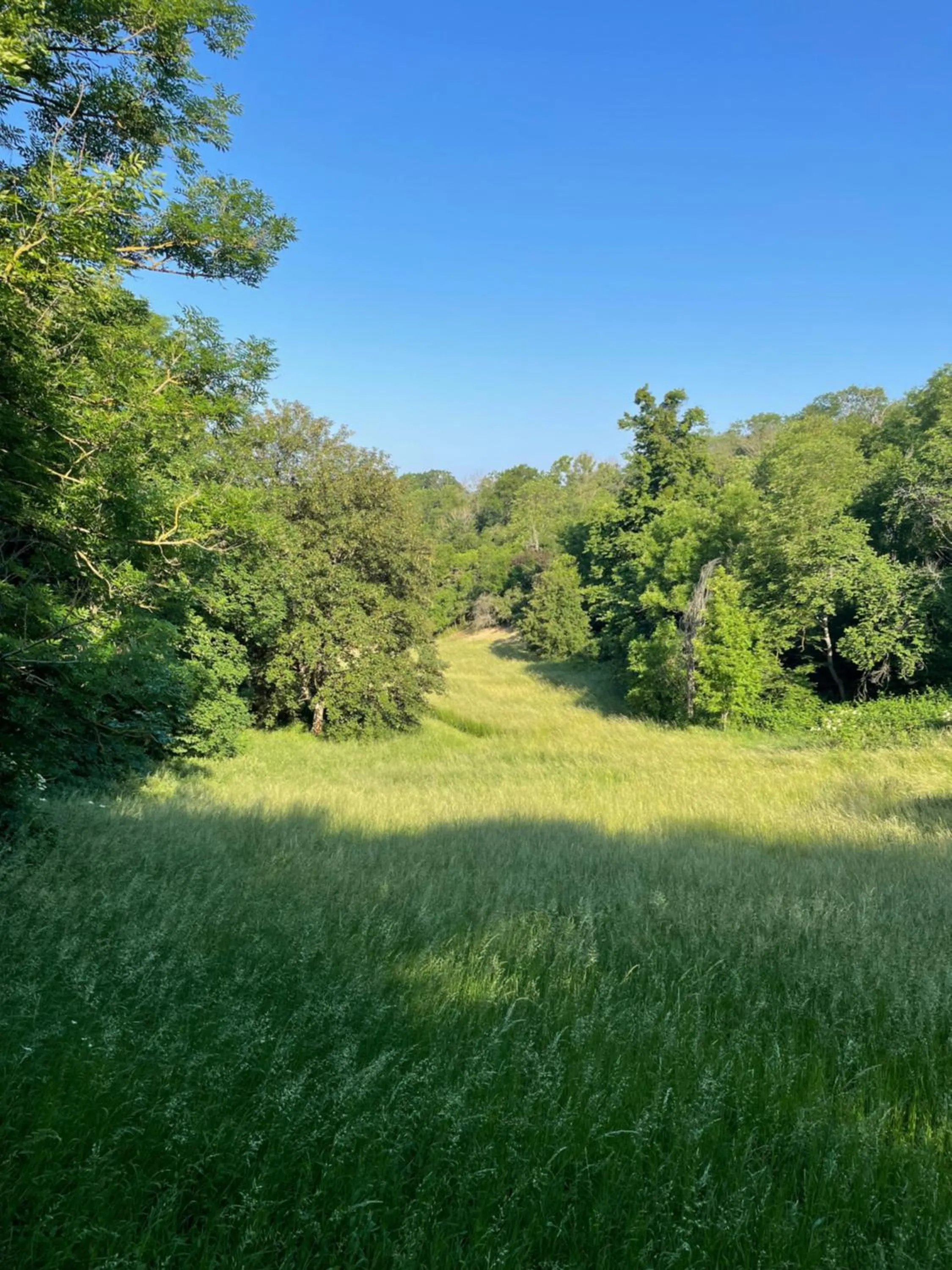 Natural landscape in Schloss Beichlingen