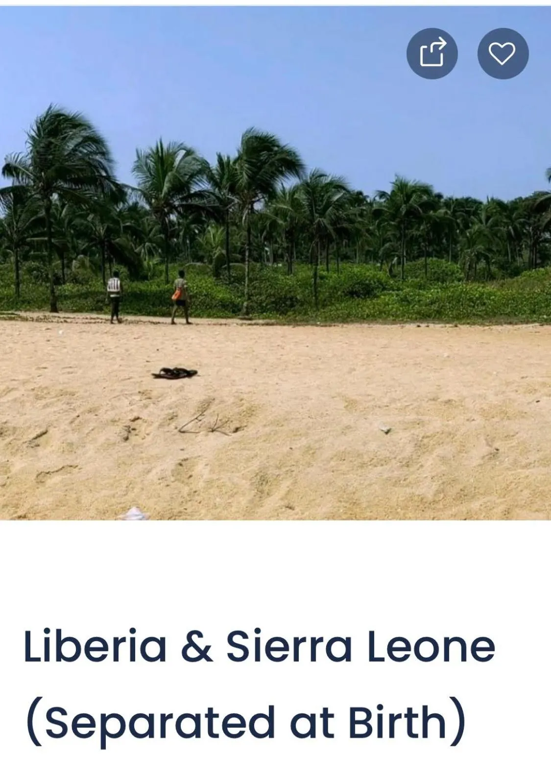 Beach in HOTEL MALLIKA COMPANY, SL