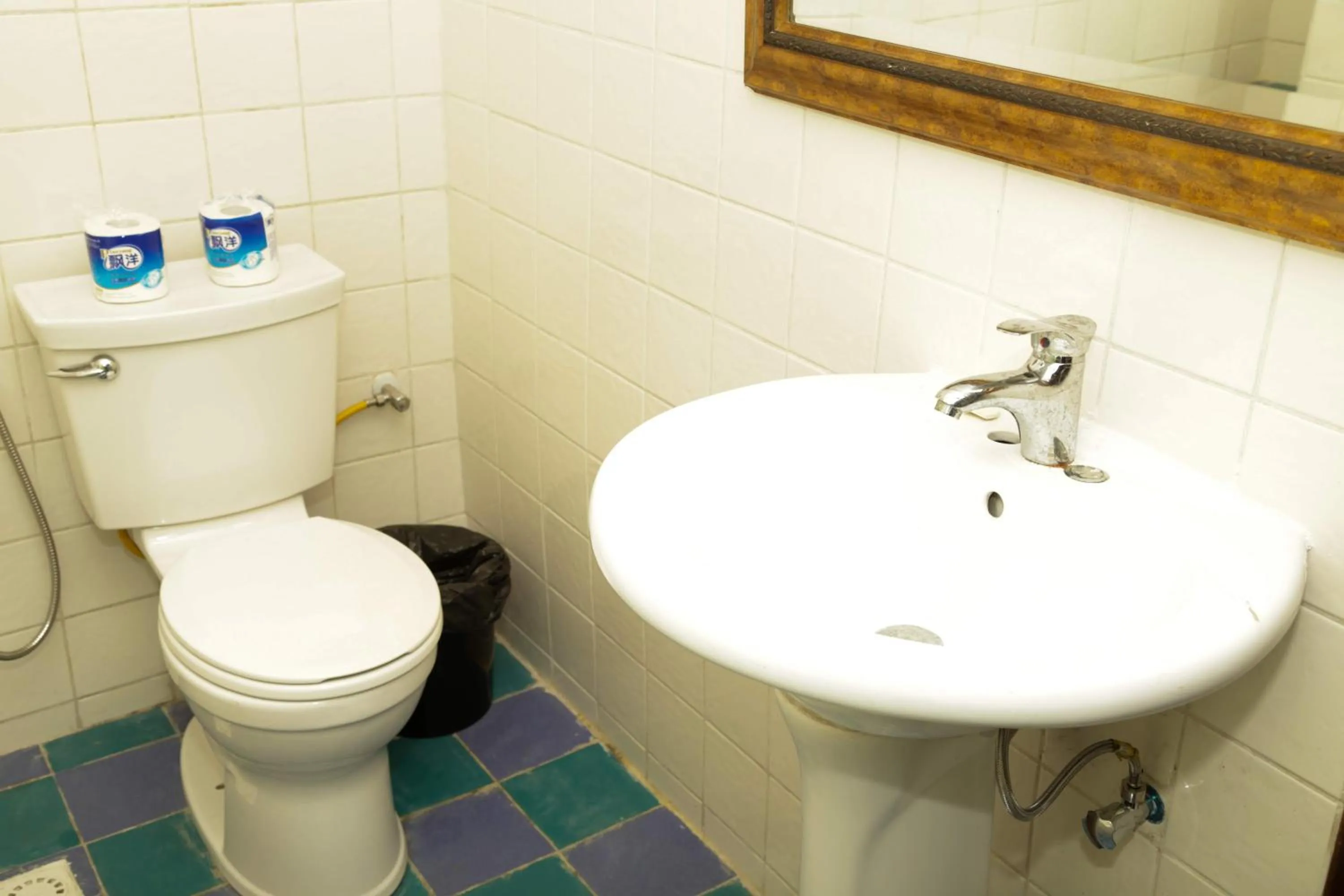 Toilet in HOTEL MALLIKA COMPANY, SL