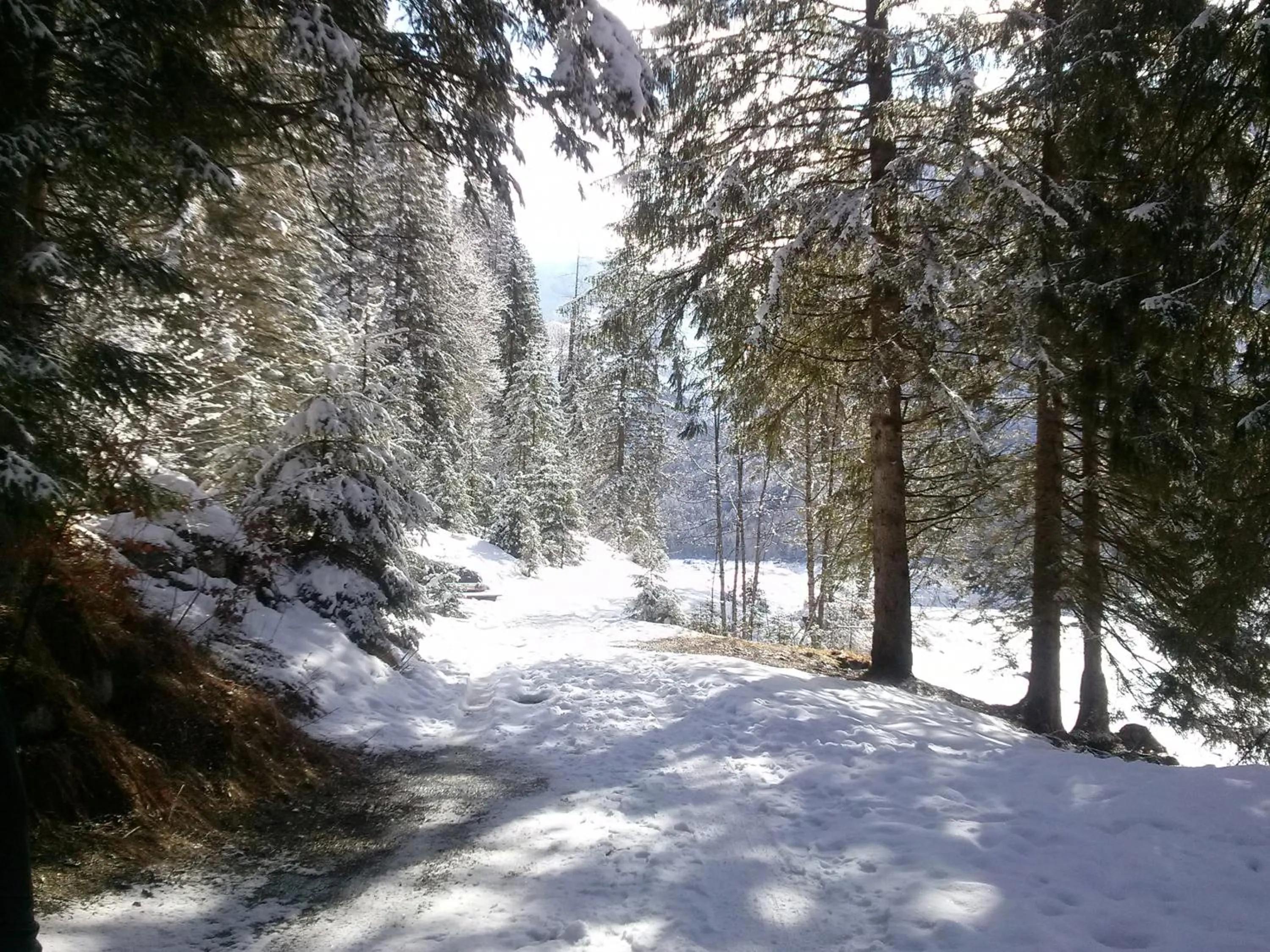Natural landscape in Ferienwohnung Inge Gapp
