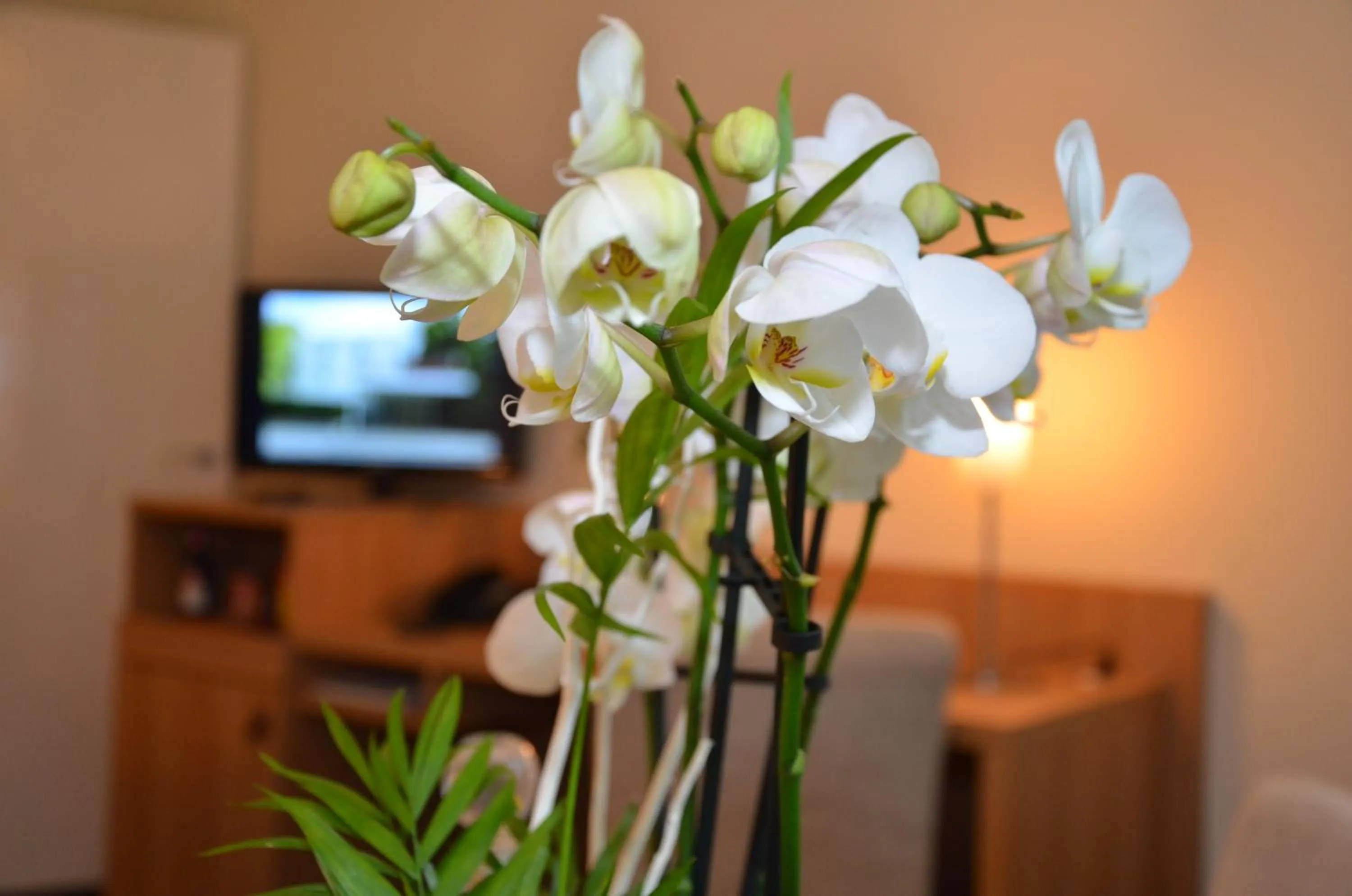 Communal lounge/ TV room in Concorde Hotel Viktoria