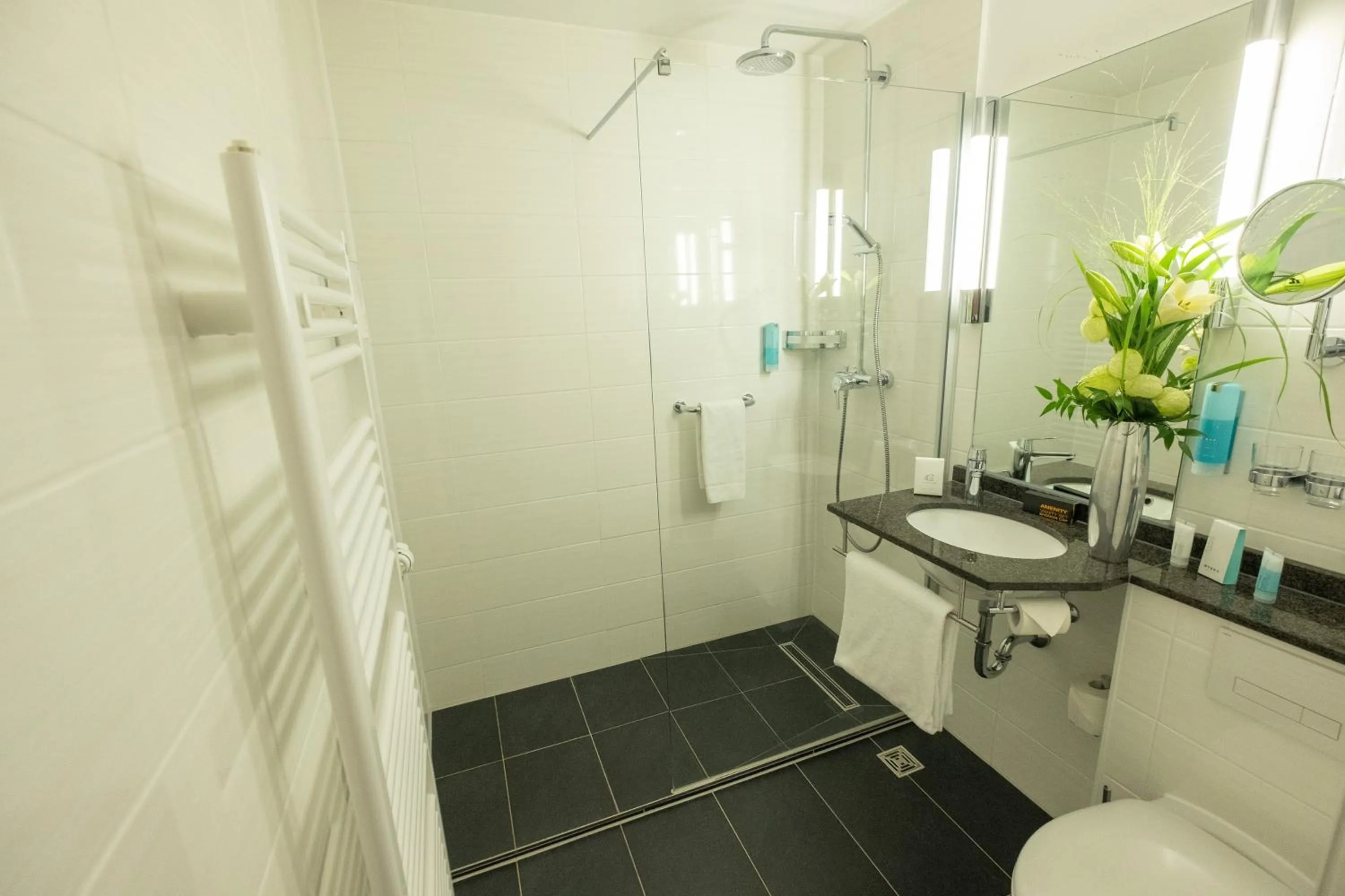 Shower in Concorde Hotel Viktoria