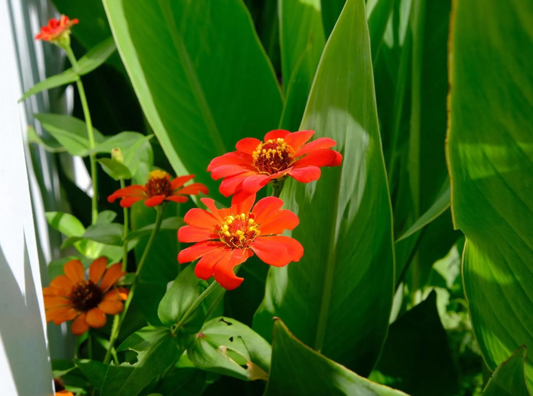 Garden in Wide Sands Beach Retreat
