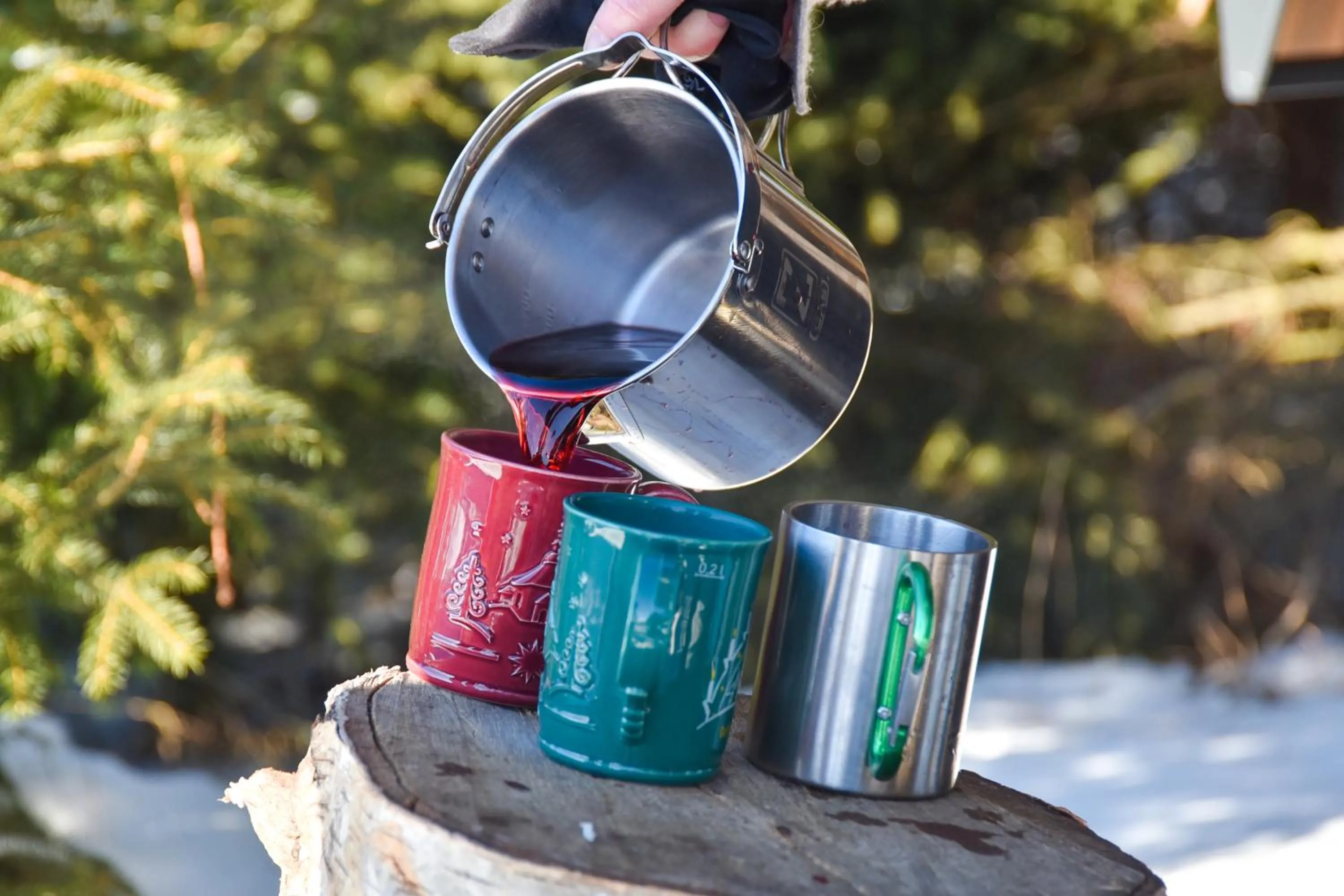 Winter in Hotel Erbgericht Buntes Haus