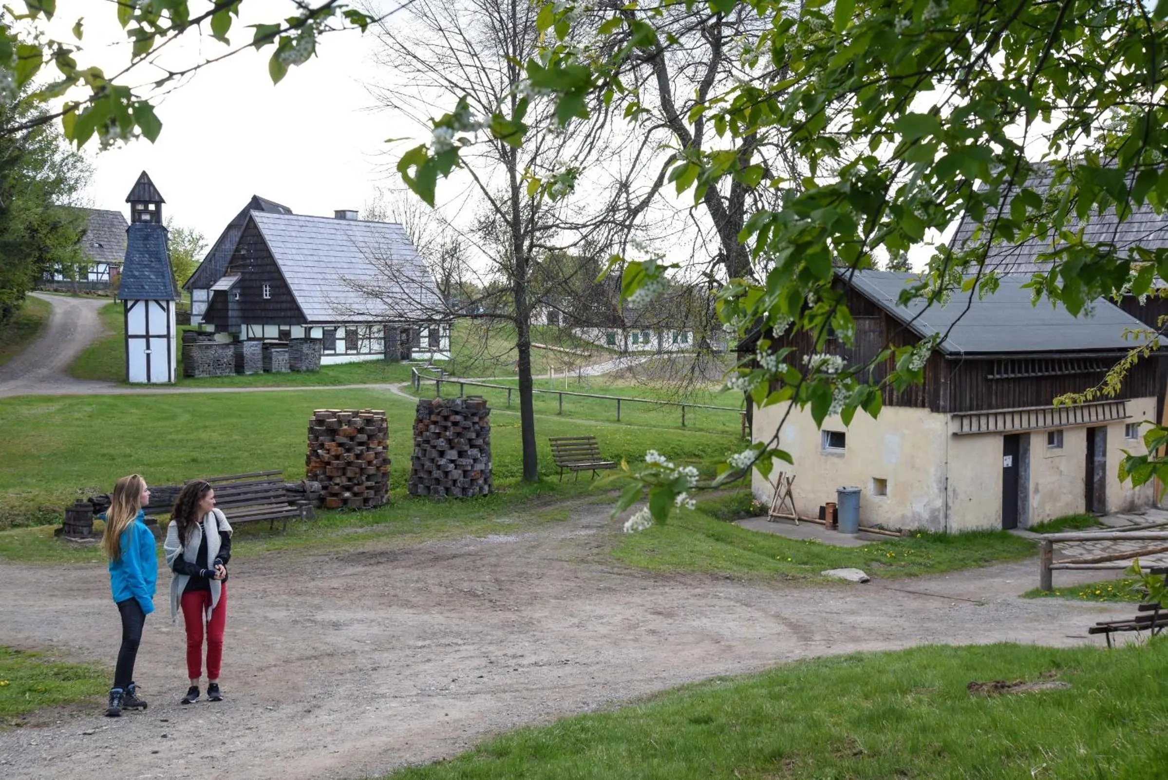 Hiking in Hotel Erbgericht Buntes Haus
