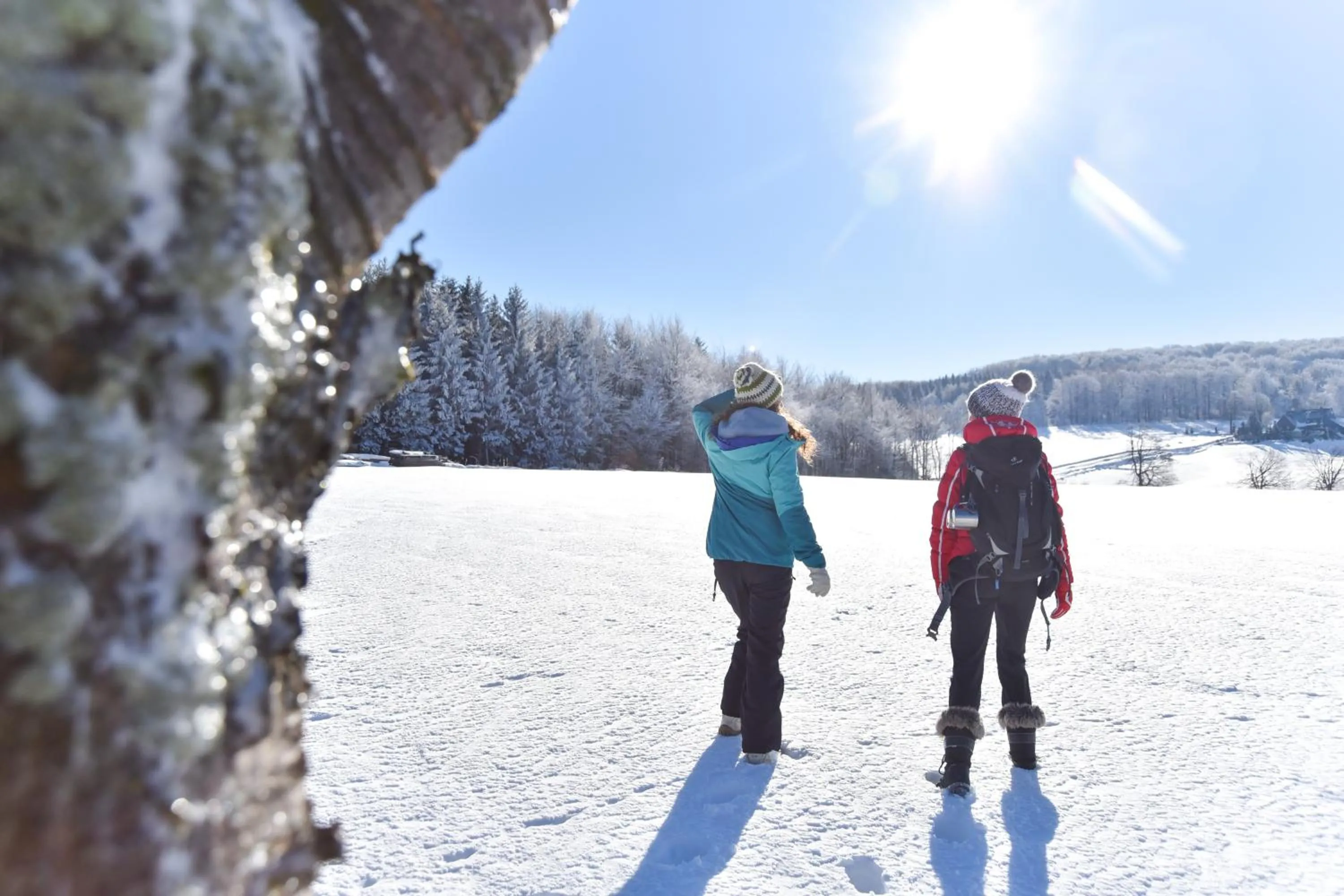 Natural landscape in Hotel Erbgericht Buntes Haus